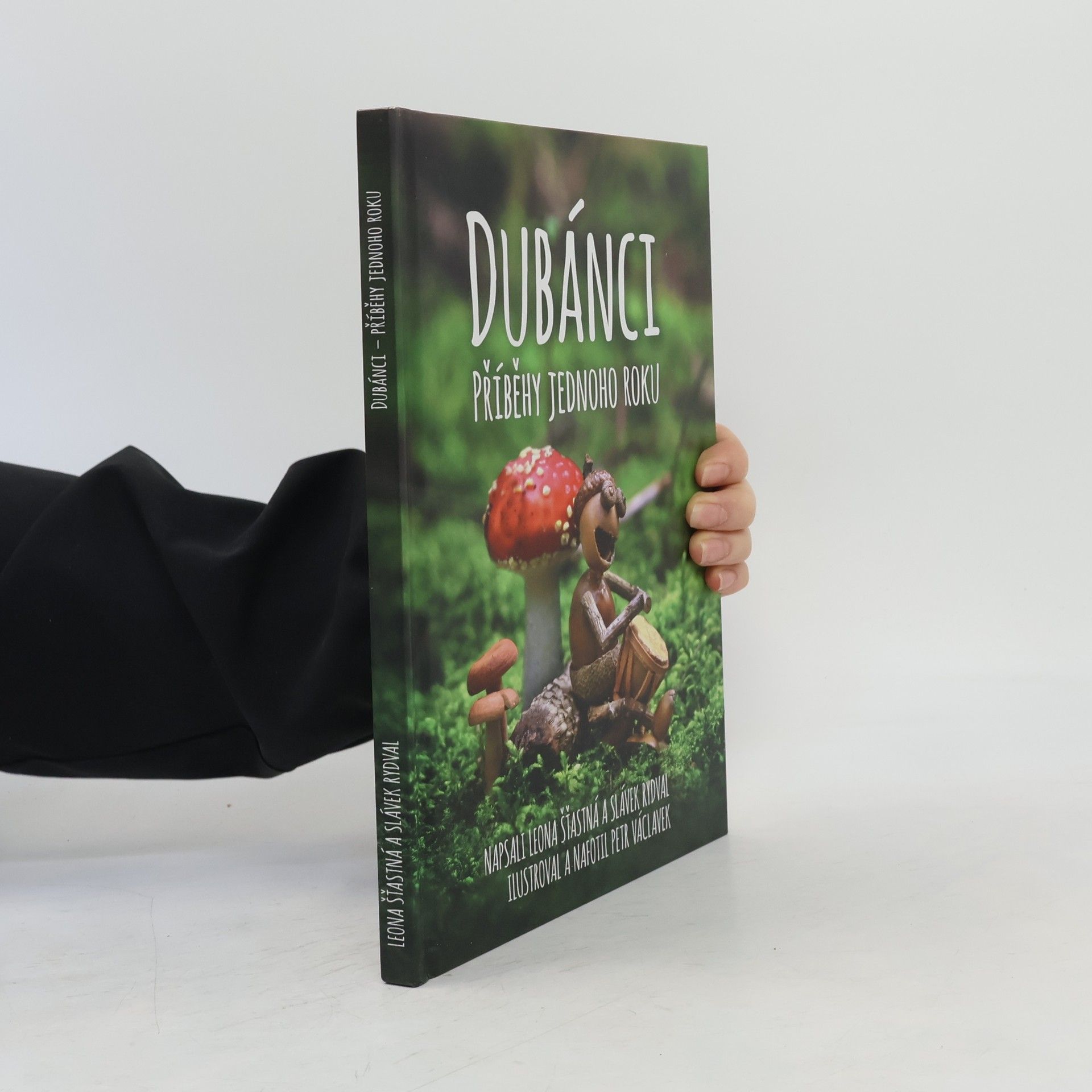 Slávek Rydval Dubánci: Příběhy jednoho roku