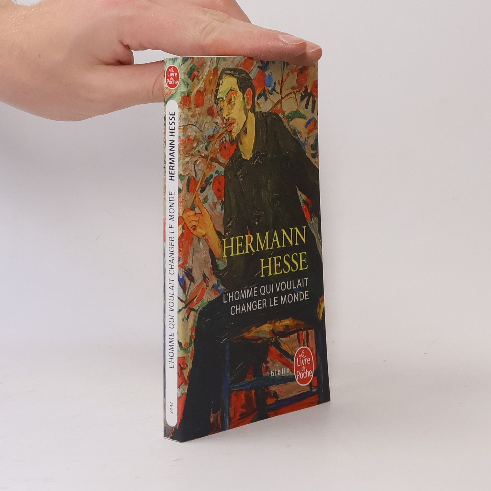 Hermann Hesse L'homme qui voulait changer le monde