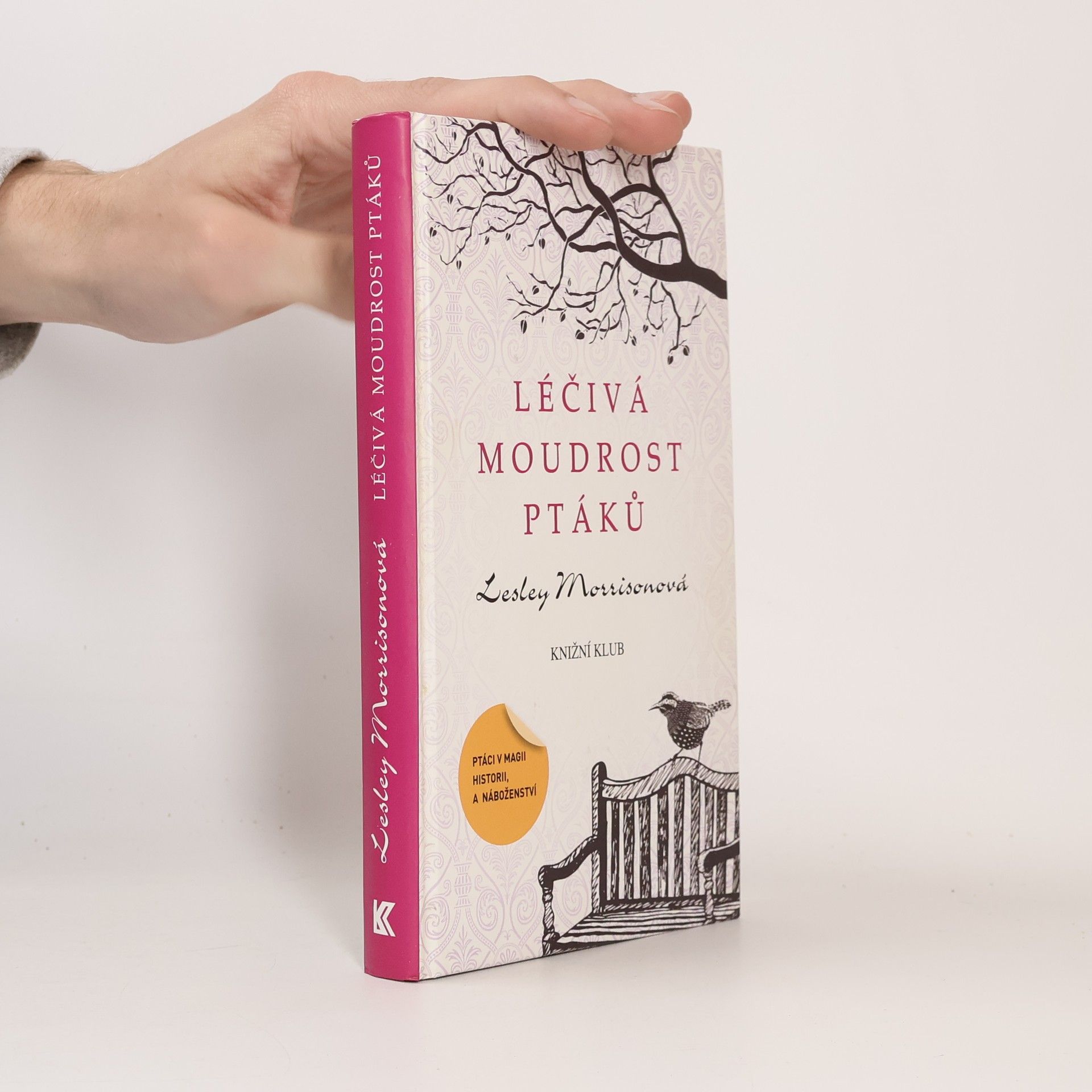 Lesley Morrison Léčivá moudrost ptáků : ptáci v magii, historii a náboženství
