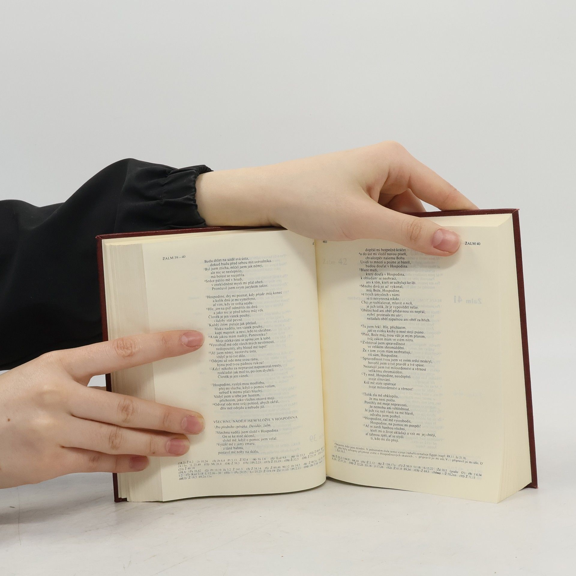 Autorenkollektiv Bible. Písmo svaté Starého i Nového zákona. Ekumenický překlad