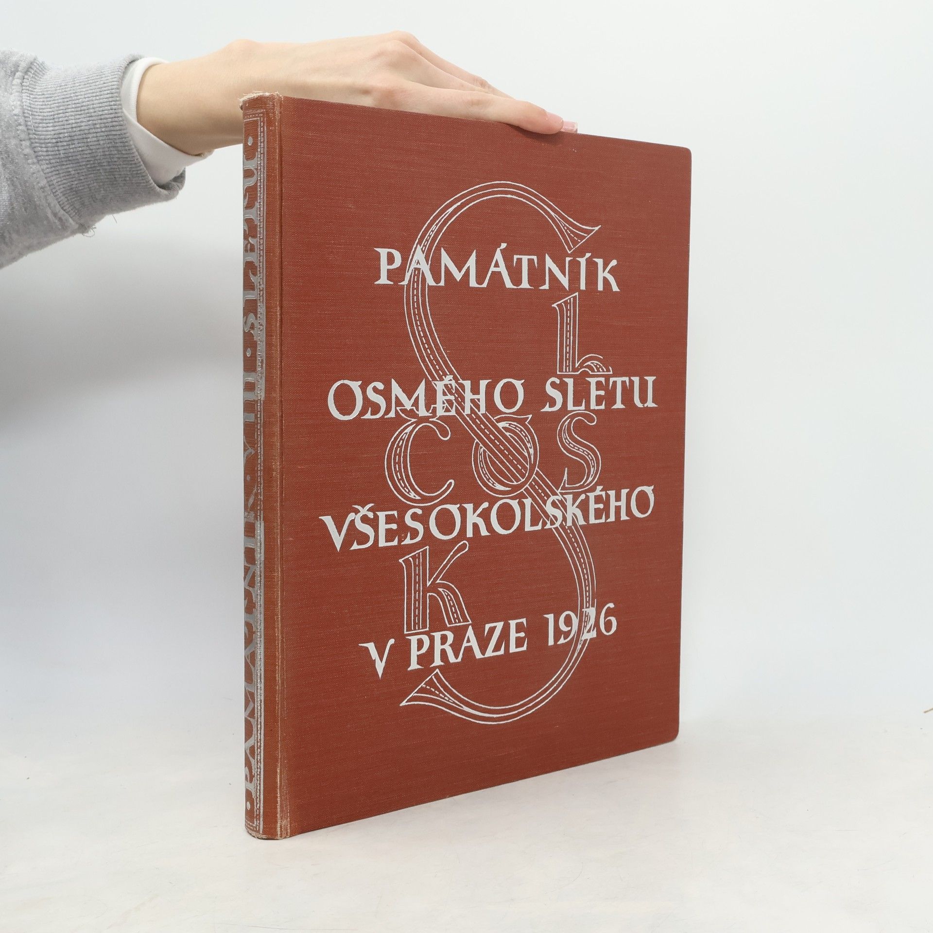 Various authors Památník osmého sletu všesokolského v Praze 1926