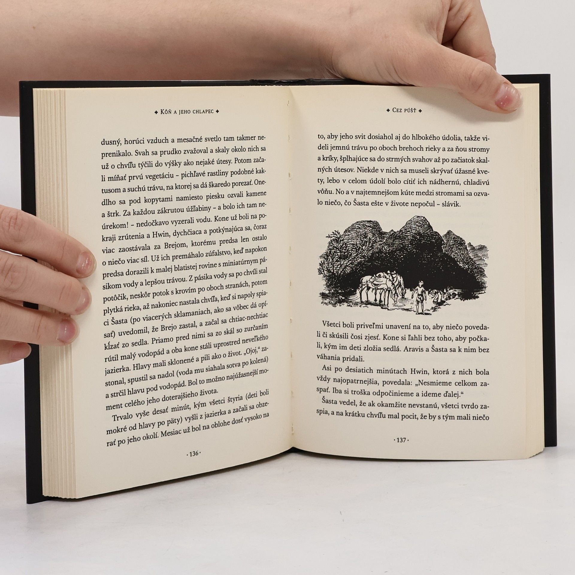 C. S. Lewis Kôň a jeho chlapec