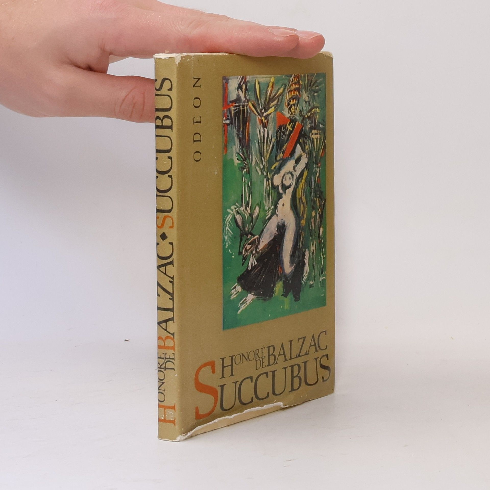 Succubus aneb Běs sviňavý ženský