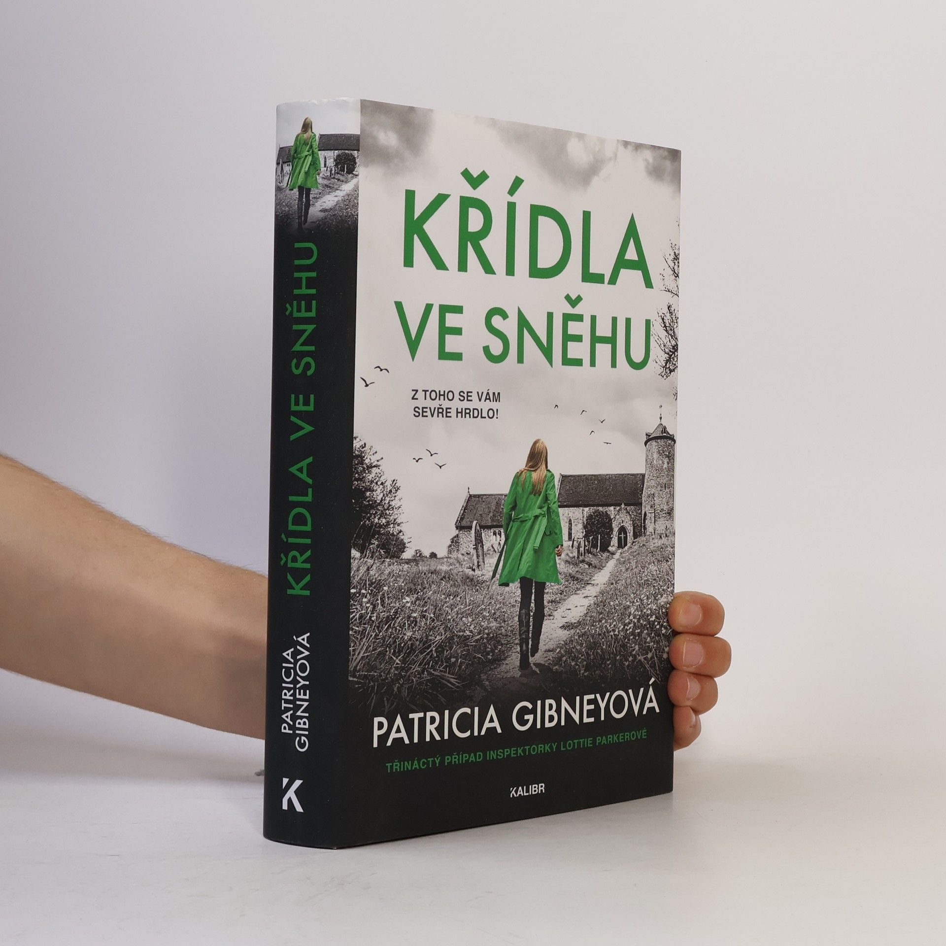 Patricia Gibney Křídla ve sněhu