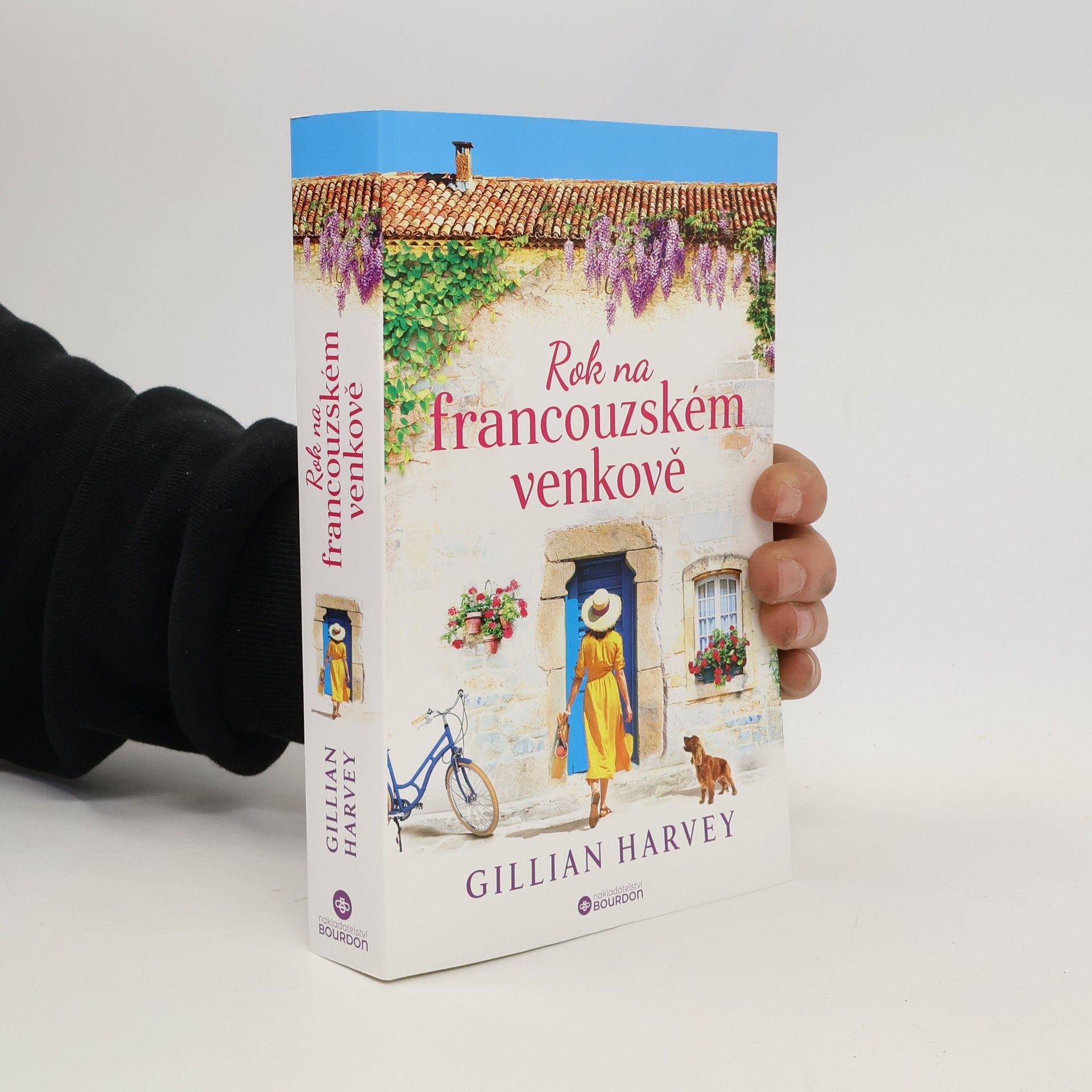 Gillian Harvey Rok na francouzském venkově