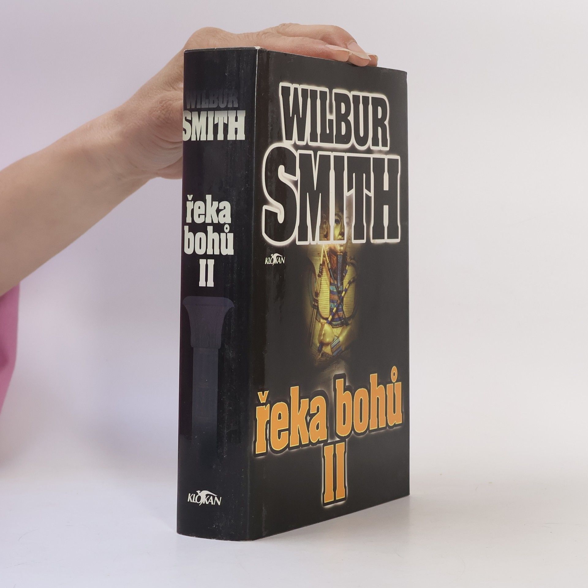 Wilbur Smith Řeka bohů II