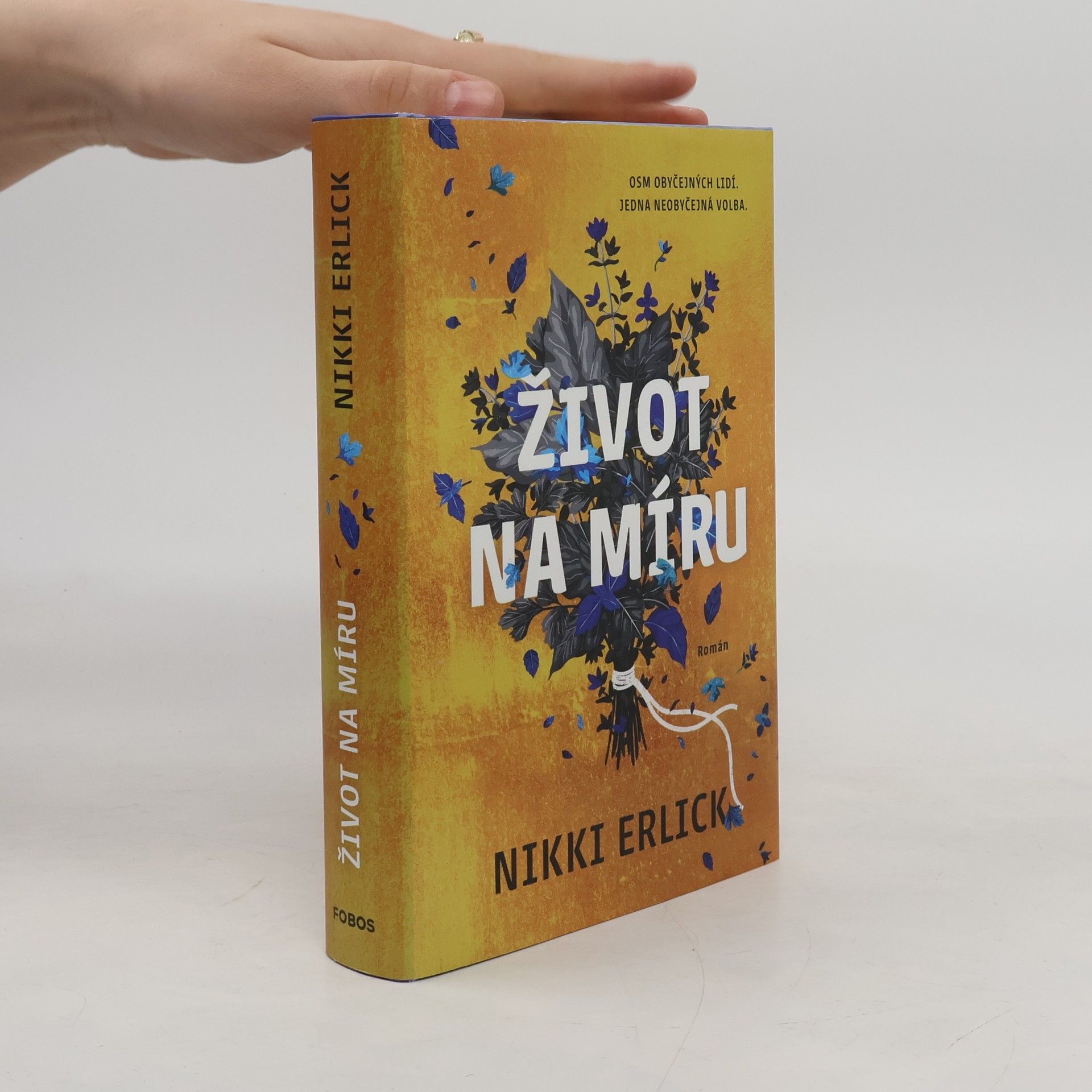 Nikki Erlick Život na míru