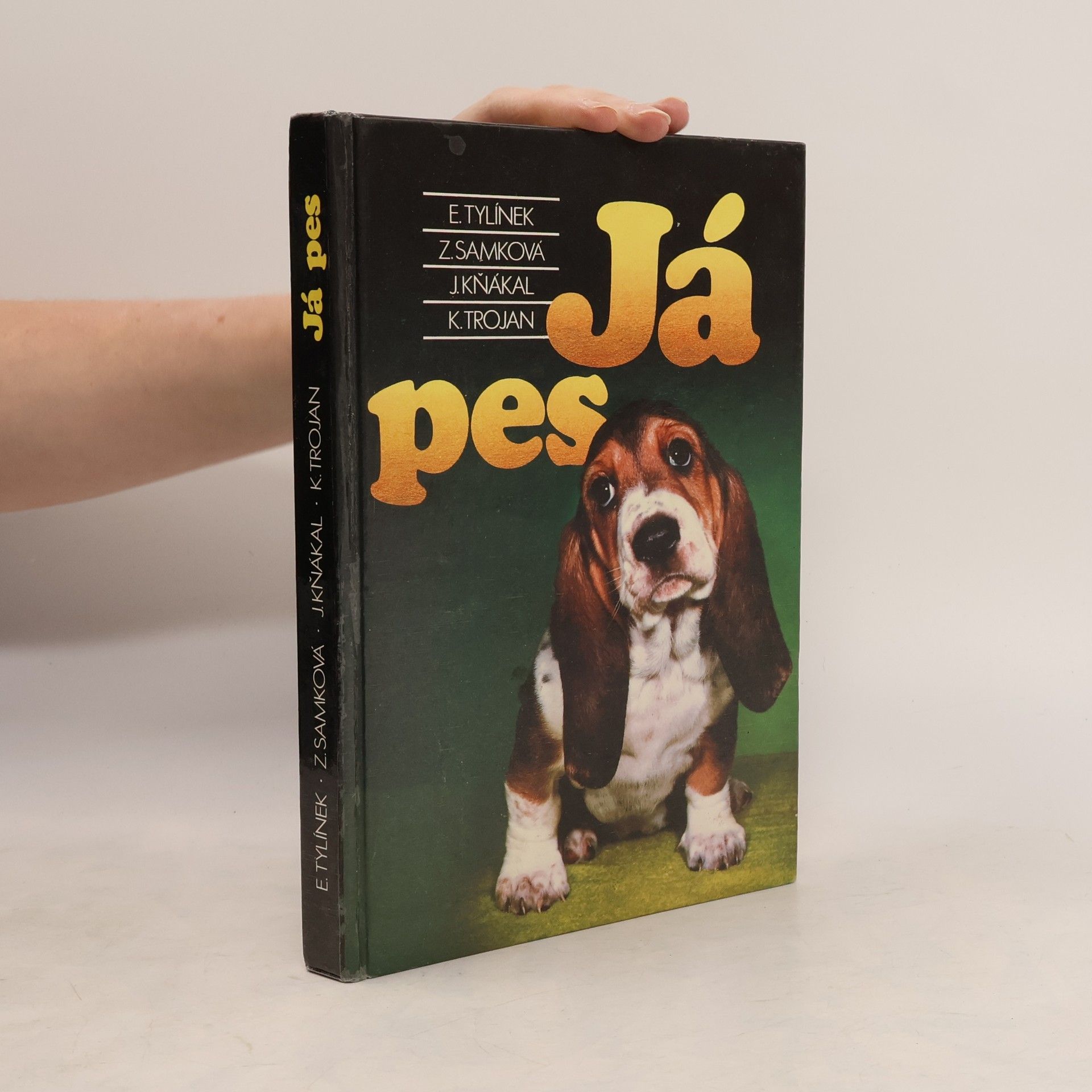 Já pes