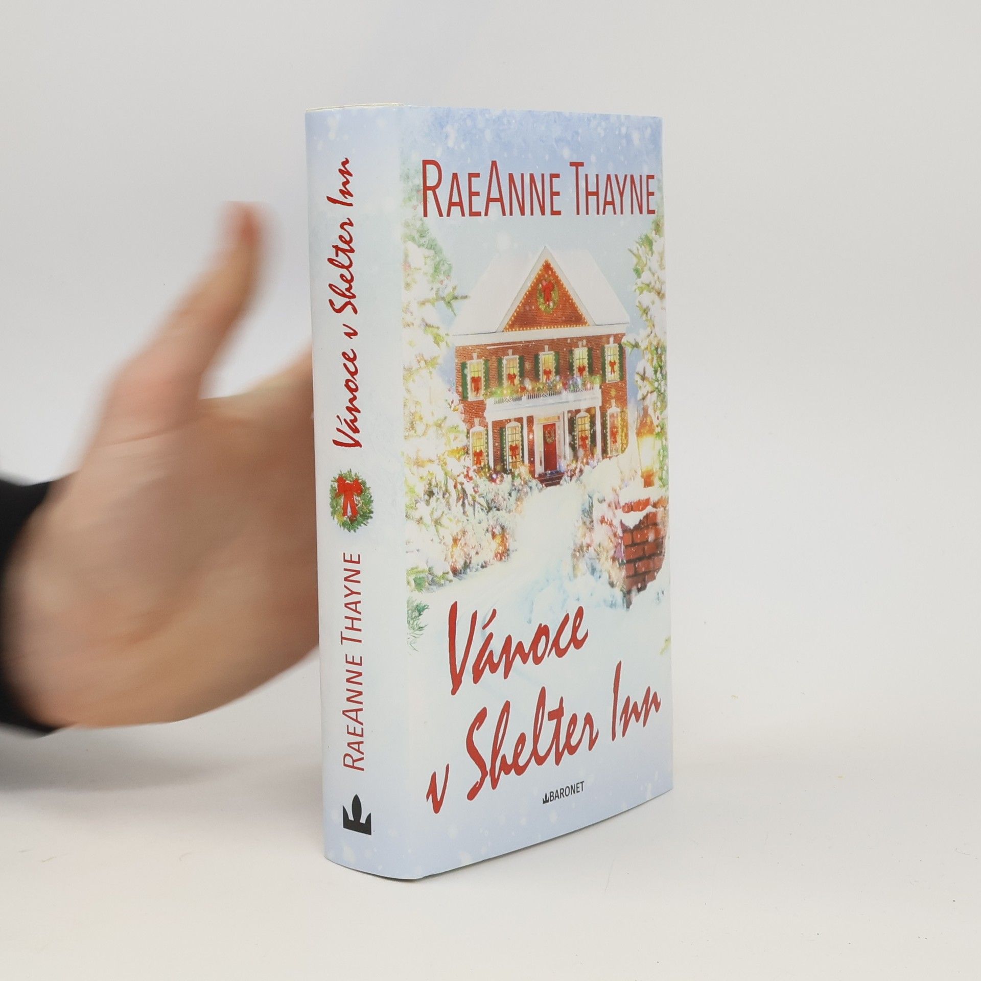 RaeAnne Thayne Vánoce v Shelter Inn