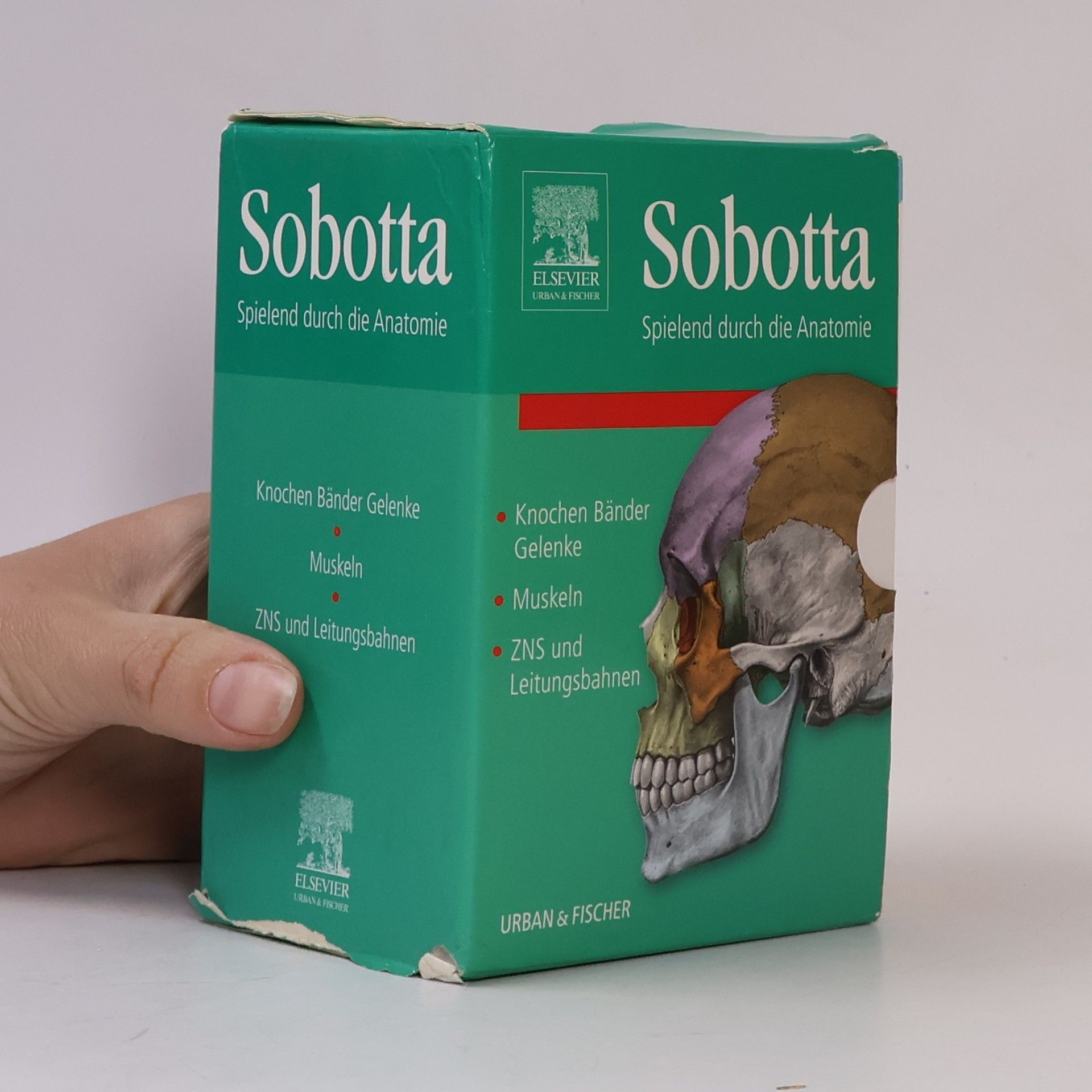 Autorenkollektiv Sobotta Spielend durch die Anatomie