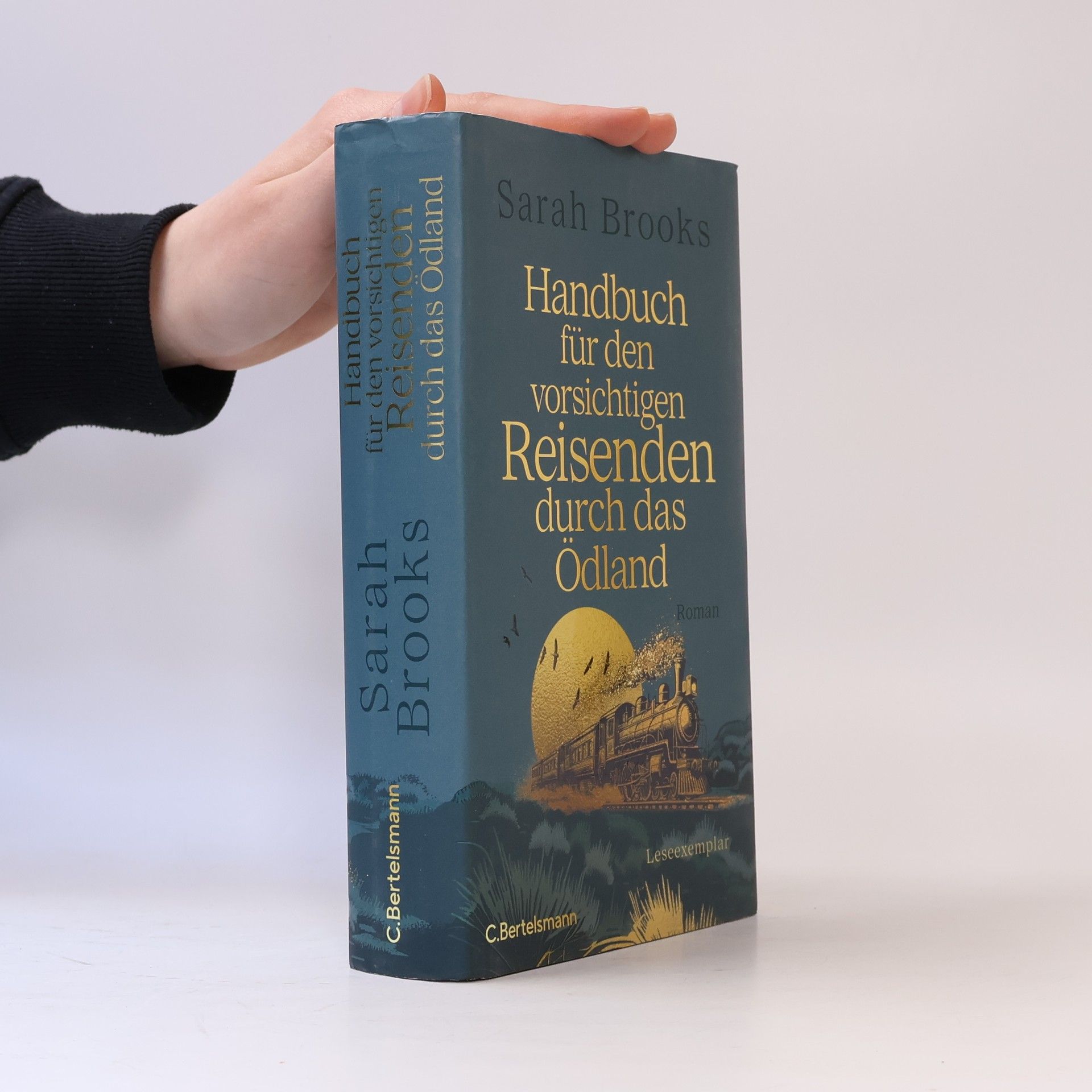 Robin Kerrod Handbuch für den vorsichtigen Reisenden durch das Ödland