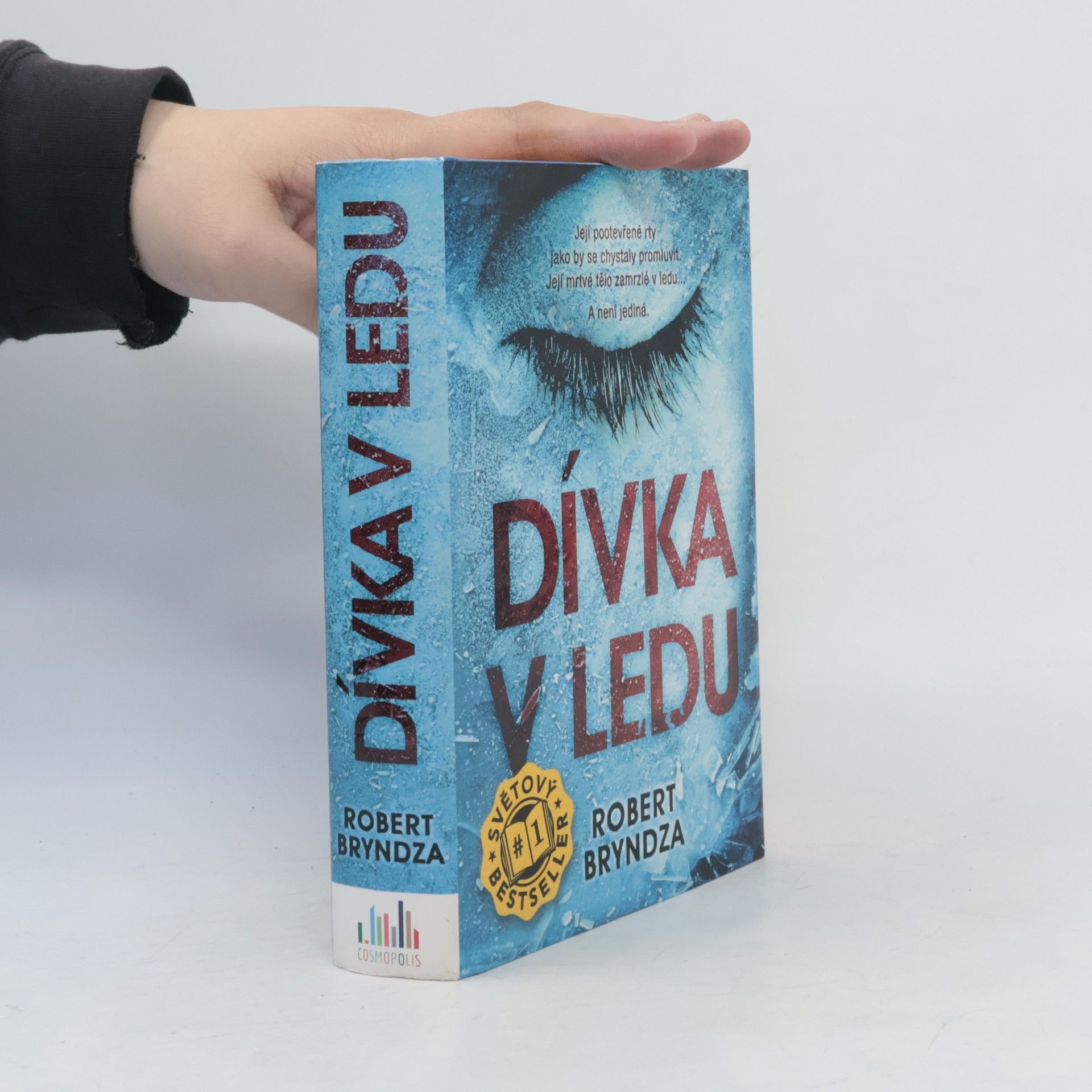 Robert Bryndza Dívka v ledu