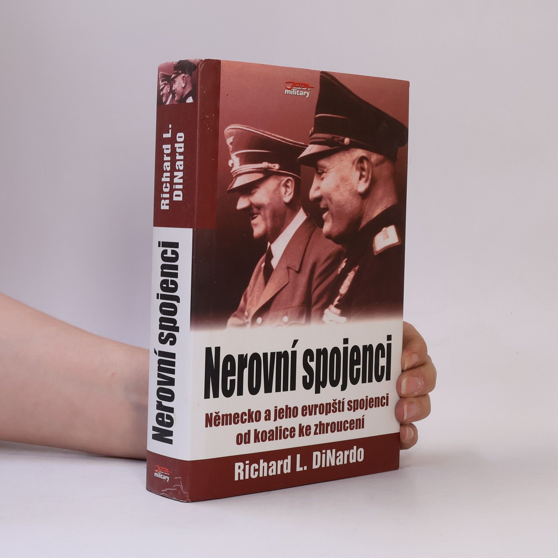 R. L. DiNardo Nerovní spojenci