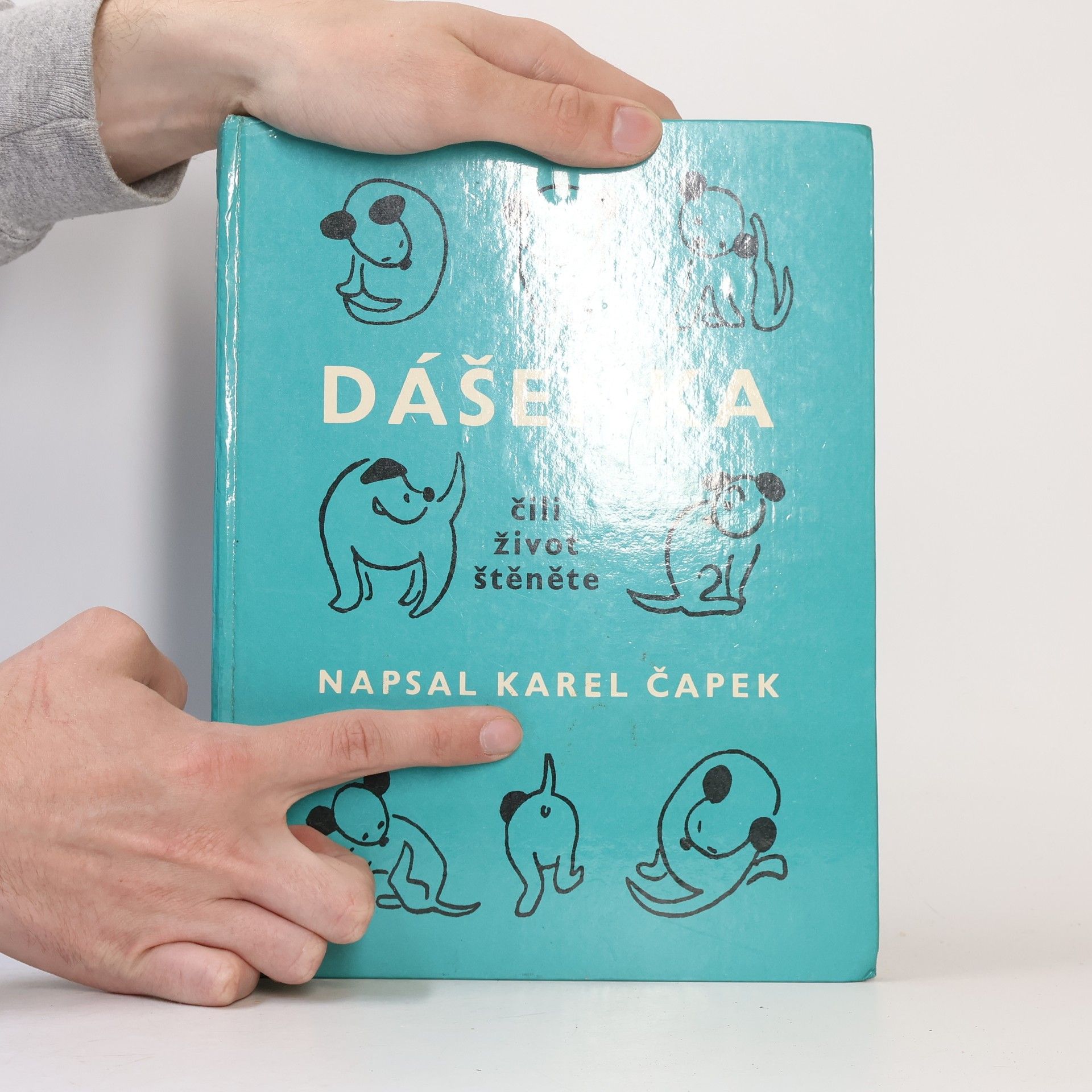 Karel Čapek Dášeňka čili život štěněte