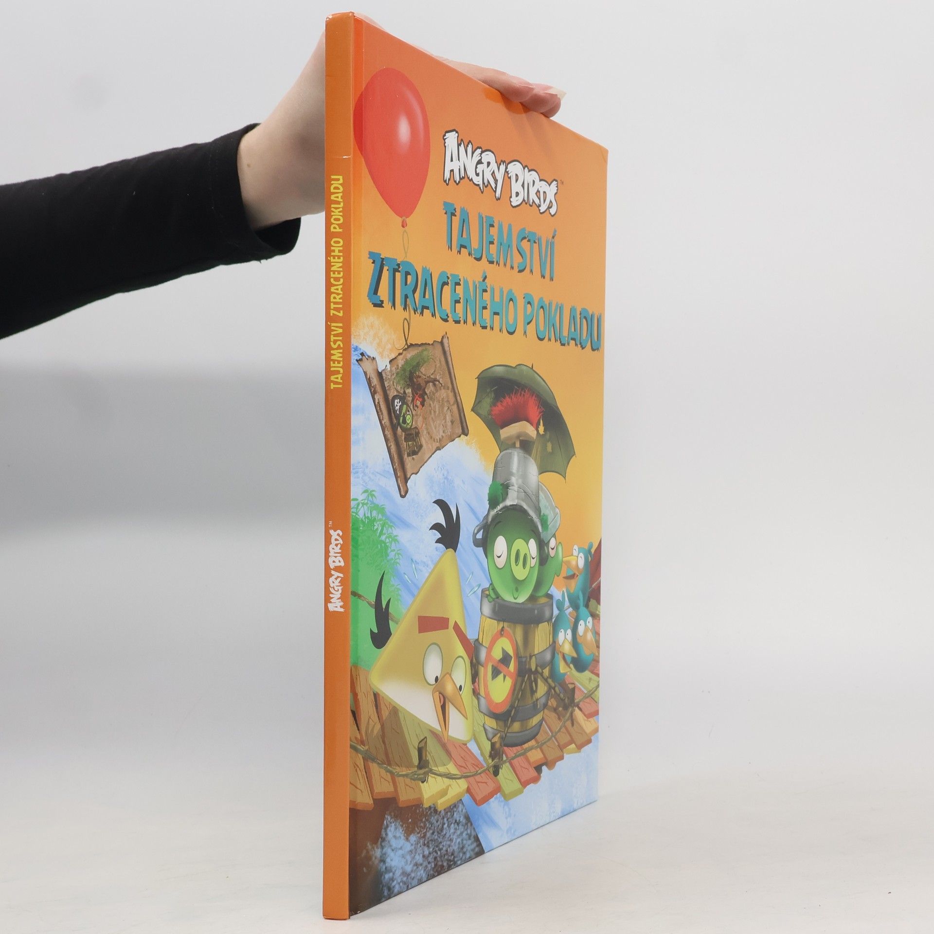 Jari Rasi Angry Birds. Tajemství ztraceného pokladu