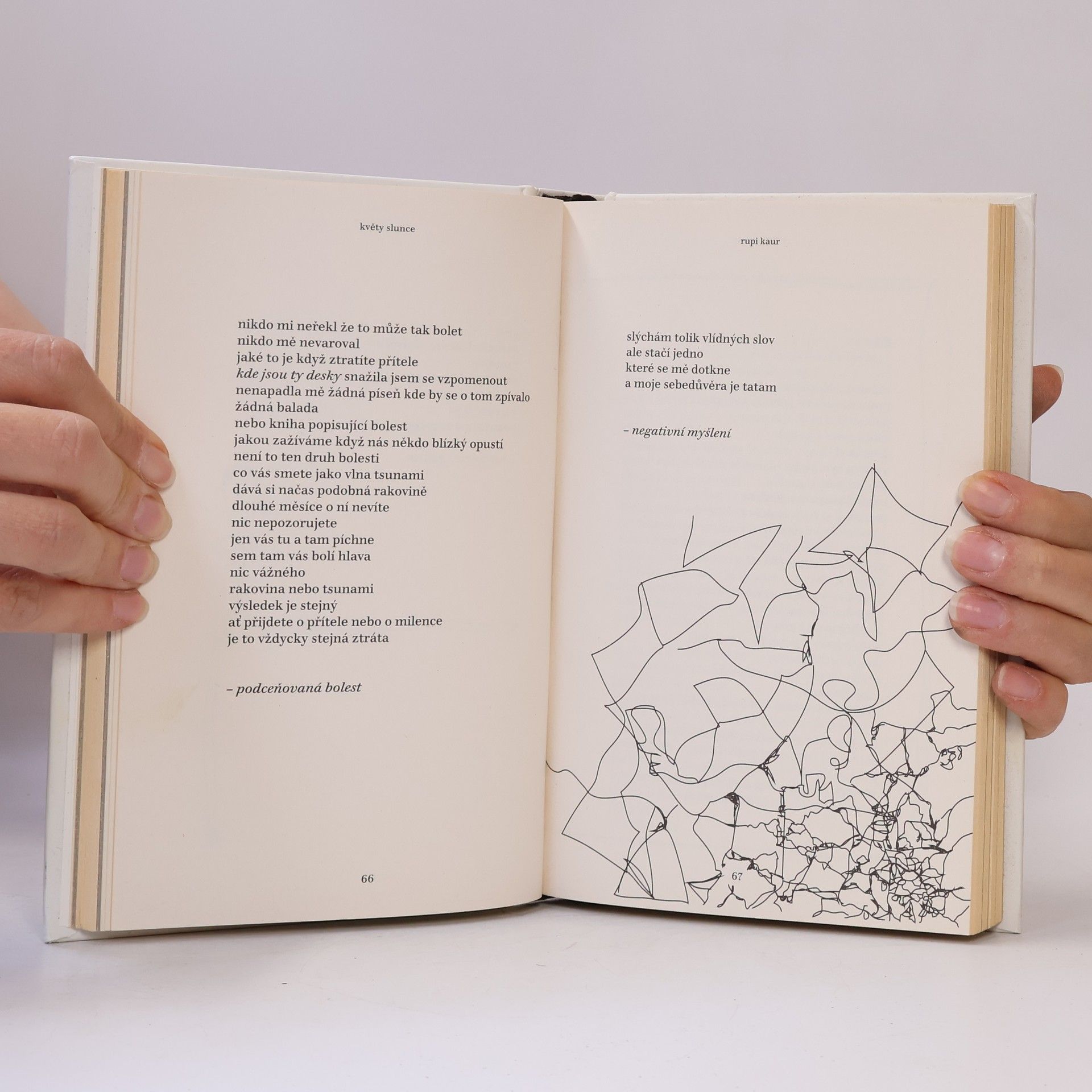 Rupi Kaur Květy slunce