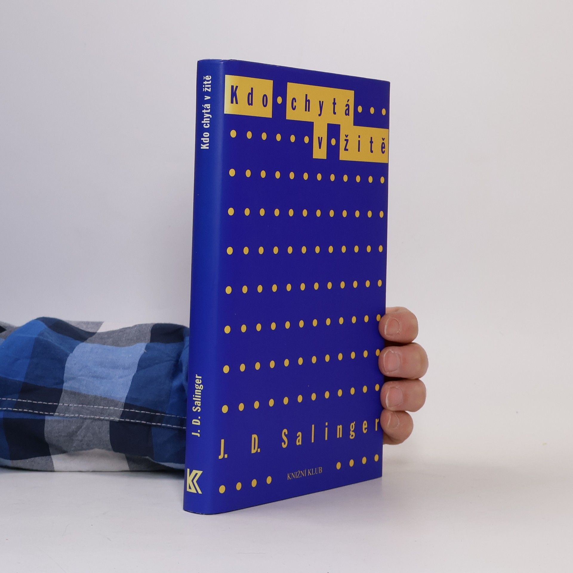J. D. Salinger Kdo chytá v žitě