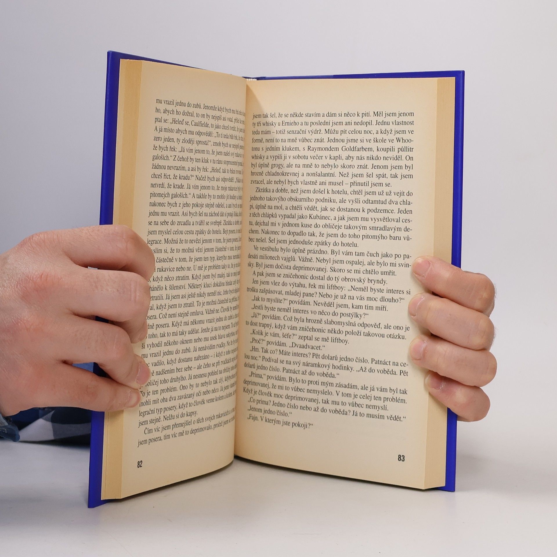 Jerome David Salinger Kdo chytá v žitě