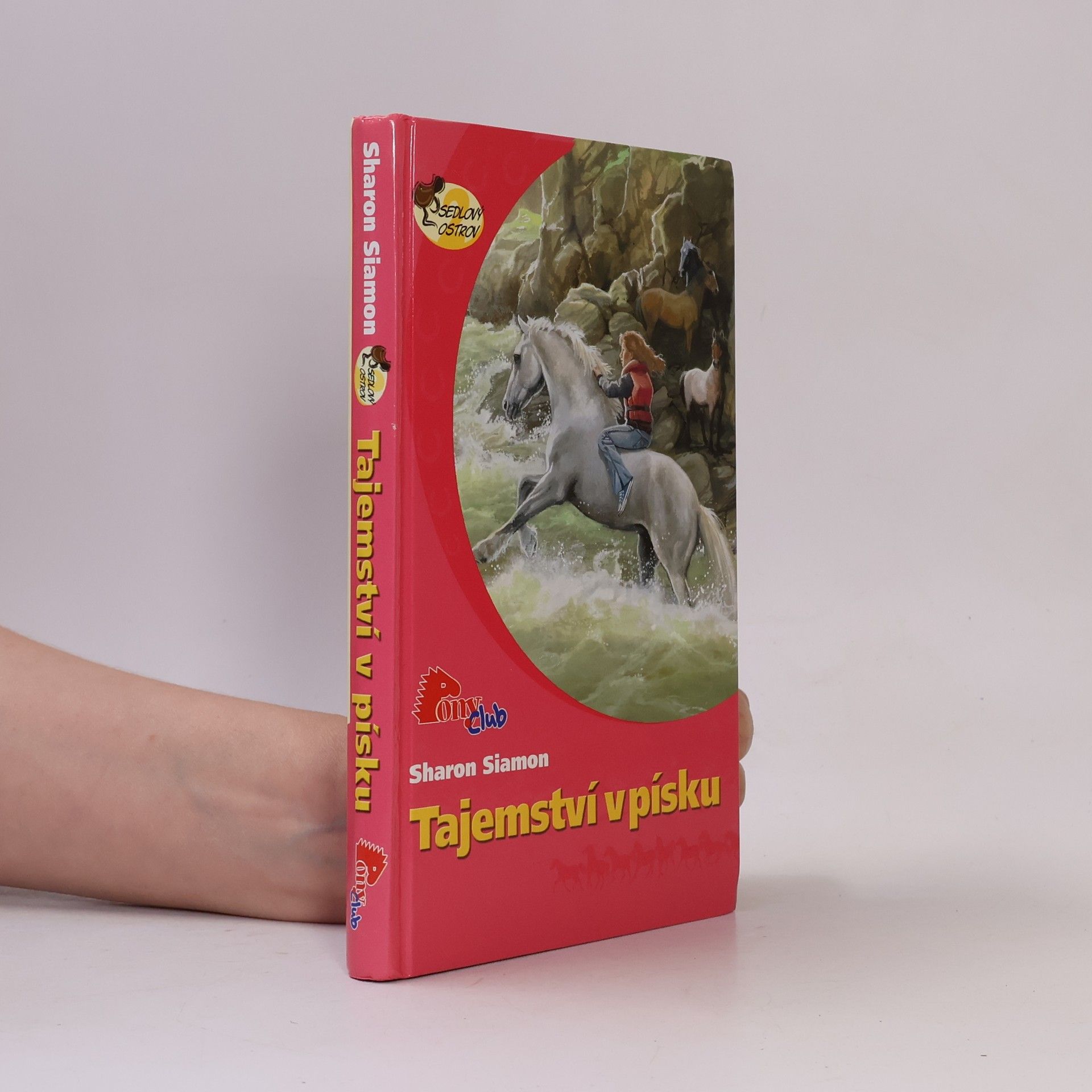 Sharon Siamon Tajemství v písku