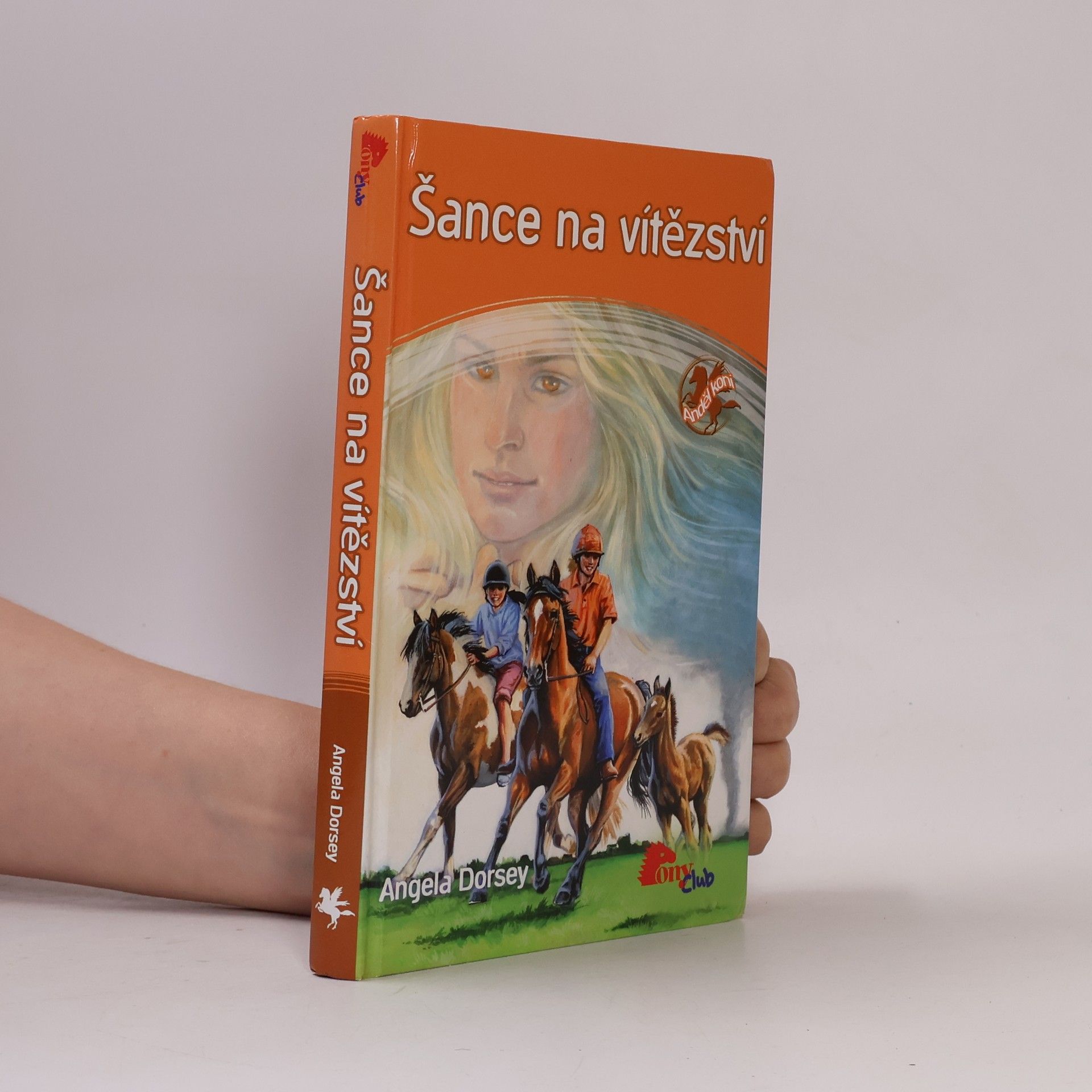 Angela Dorsey Šance na vítězství
