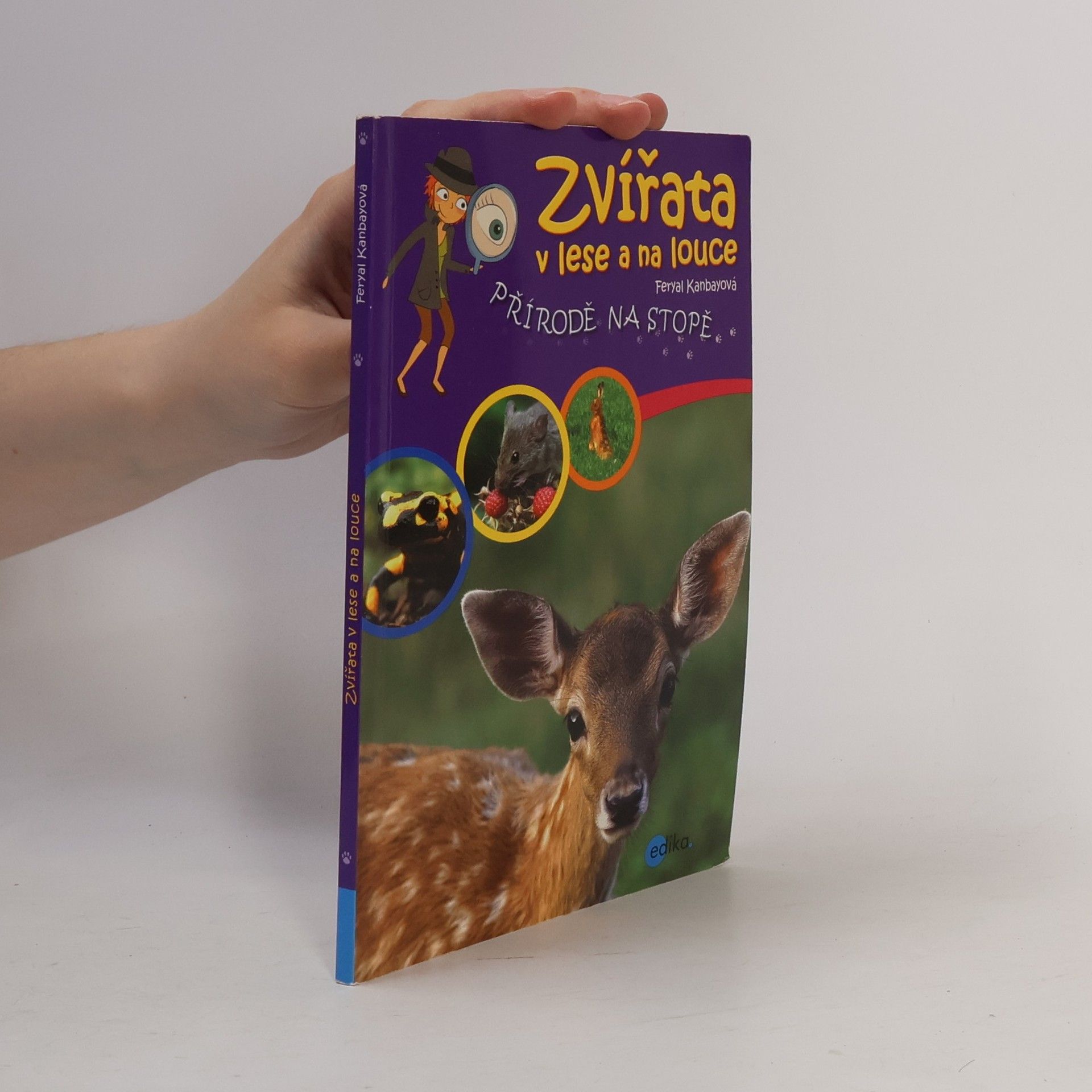 Feryal Kanbay Zvířata v lese a na louce