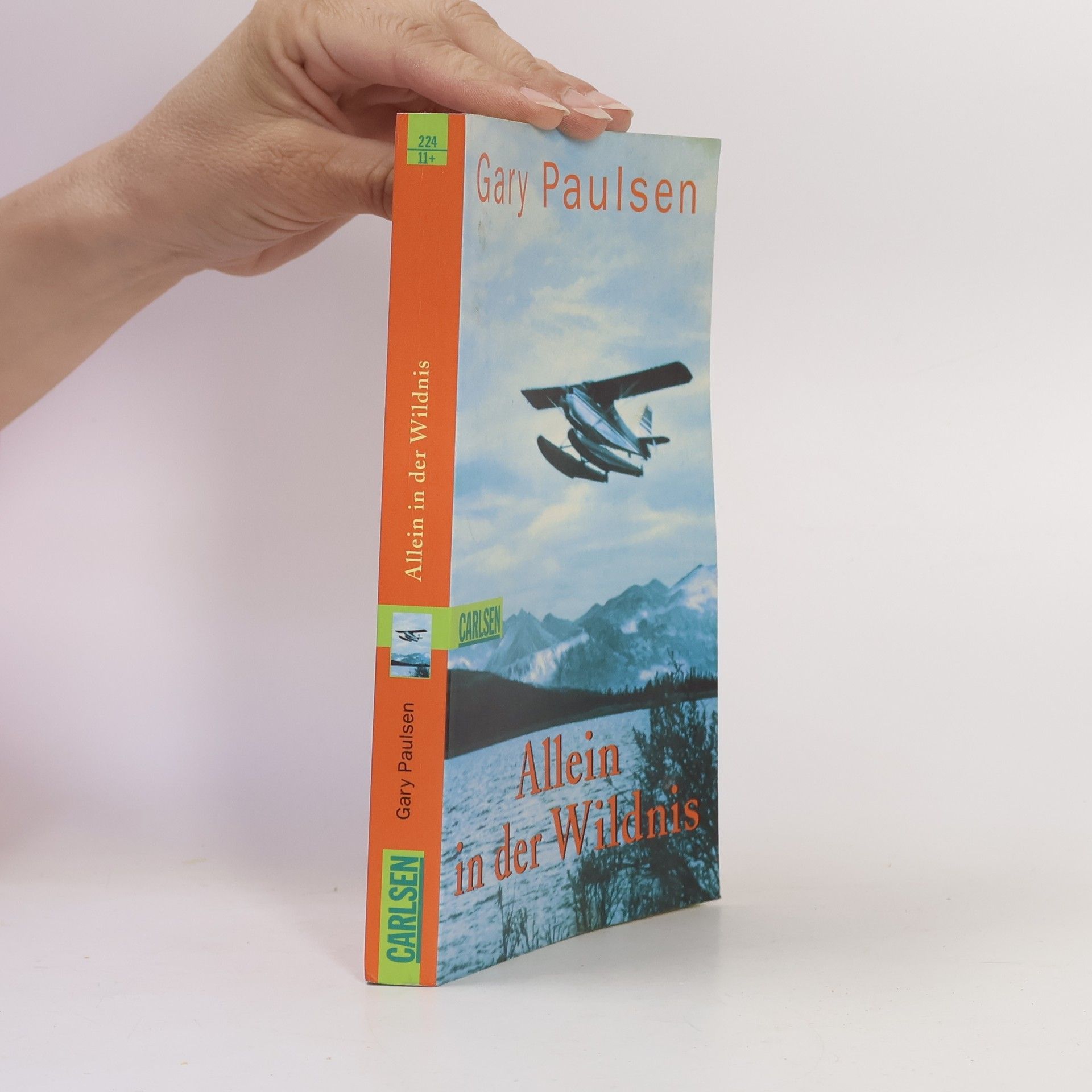 Gary Paulsen Allein in der Wildnis