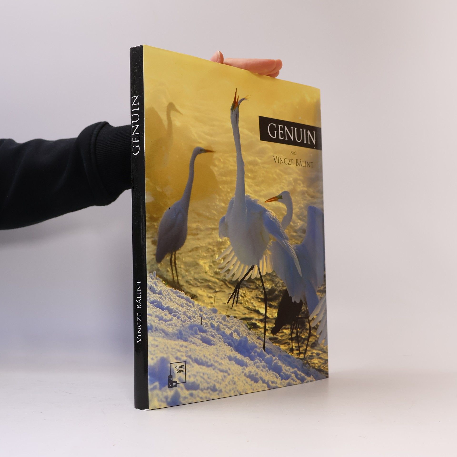 Bob Dent Genuine : the images of four years compressed into four seasons