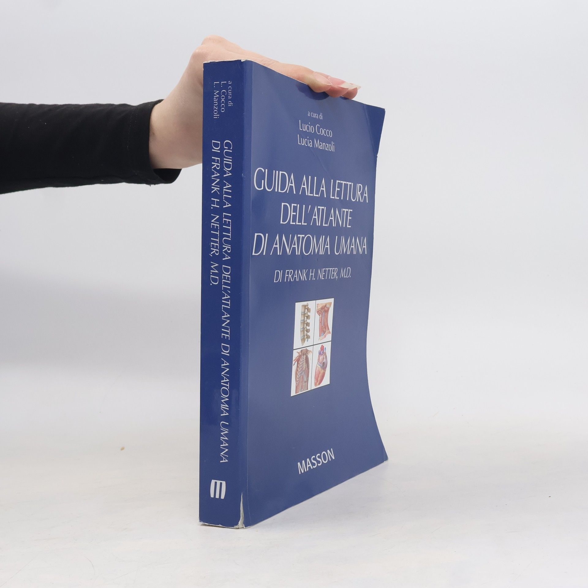Lucio Cocco Guida alla lettura dell'atlante di anatomia umana di Frank H. Netter, M. D.
