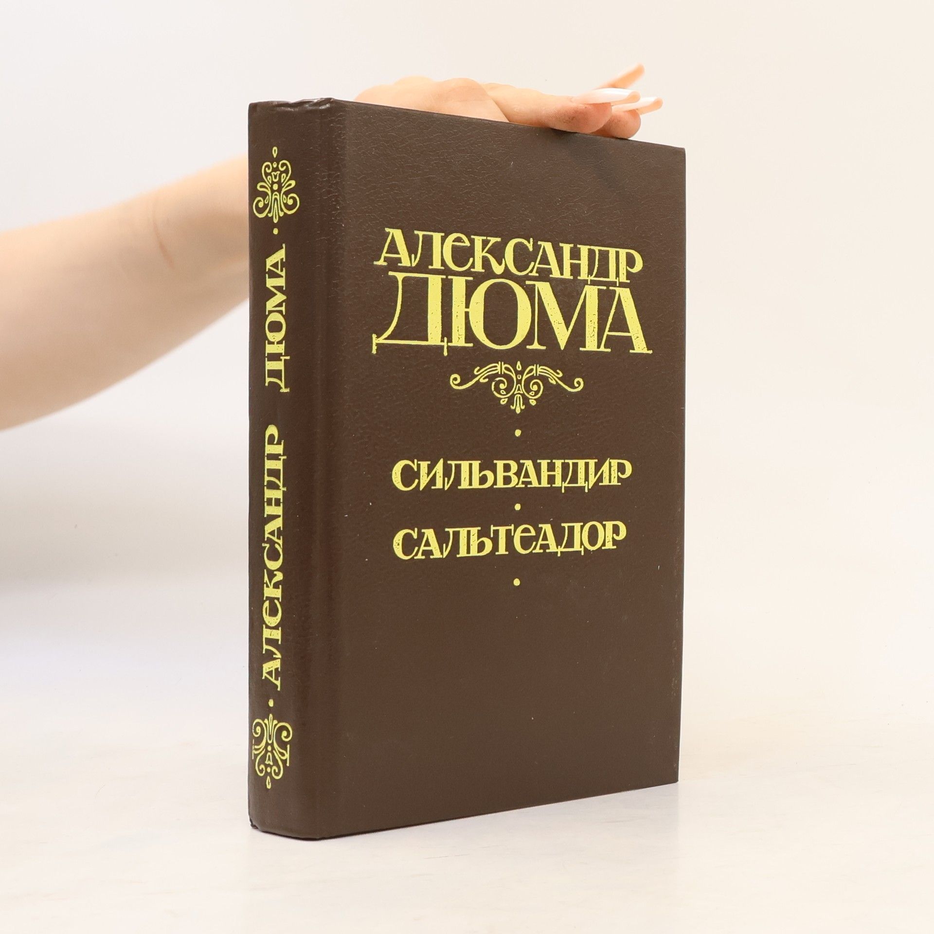 Сильвандир. Сальтеадор