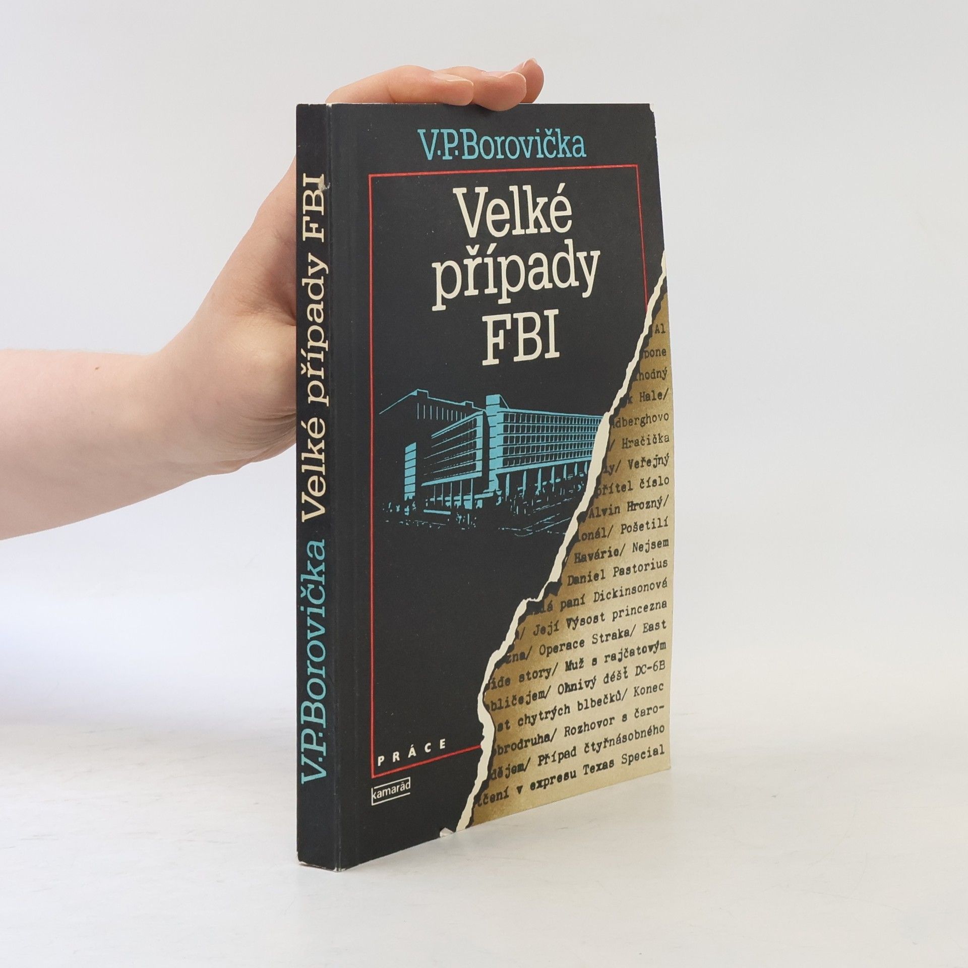 Velké případy FBI