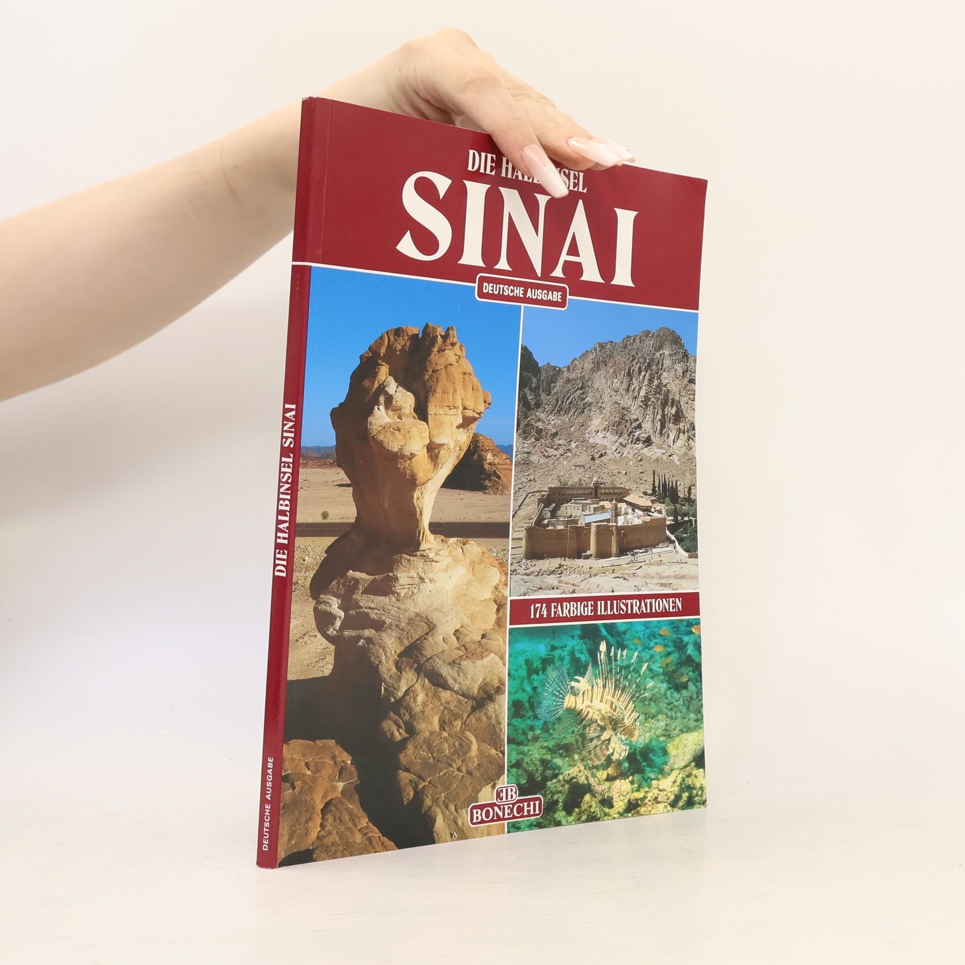 Giovanna Magi Die Halbinsel Sinai