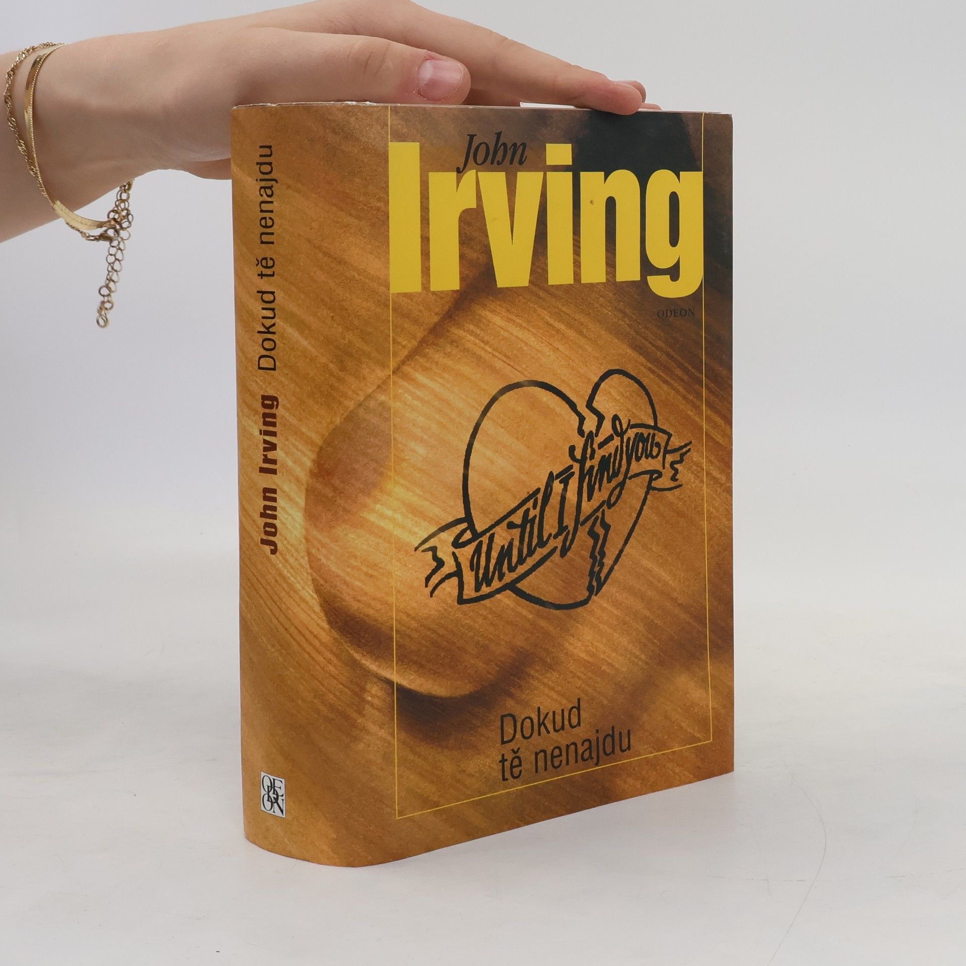 John Irving Dokud tě nenajdu