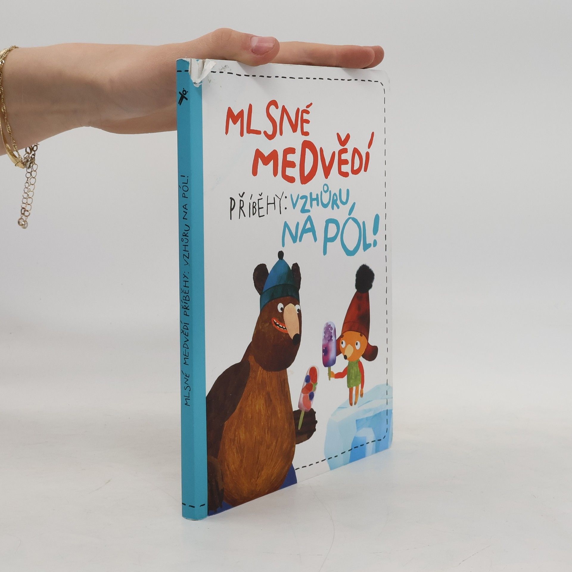 Mlsné medvědí příběhy. Vzhůru na pól!