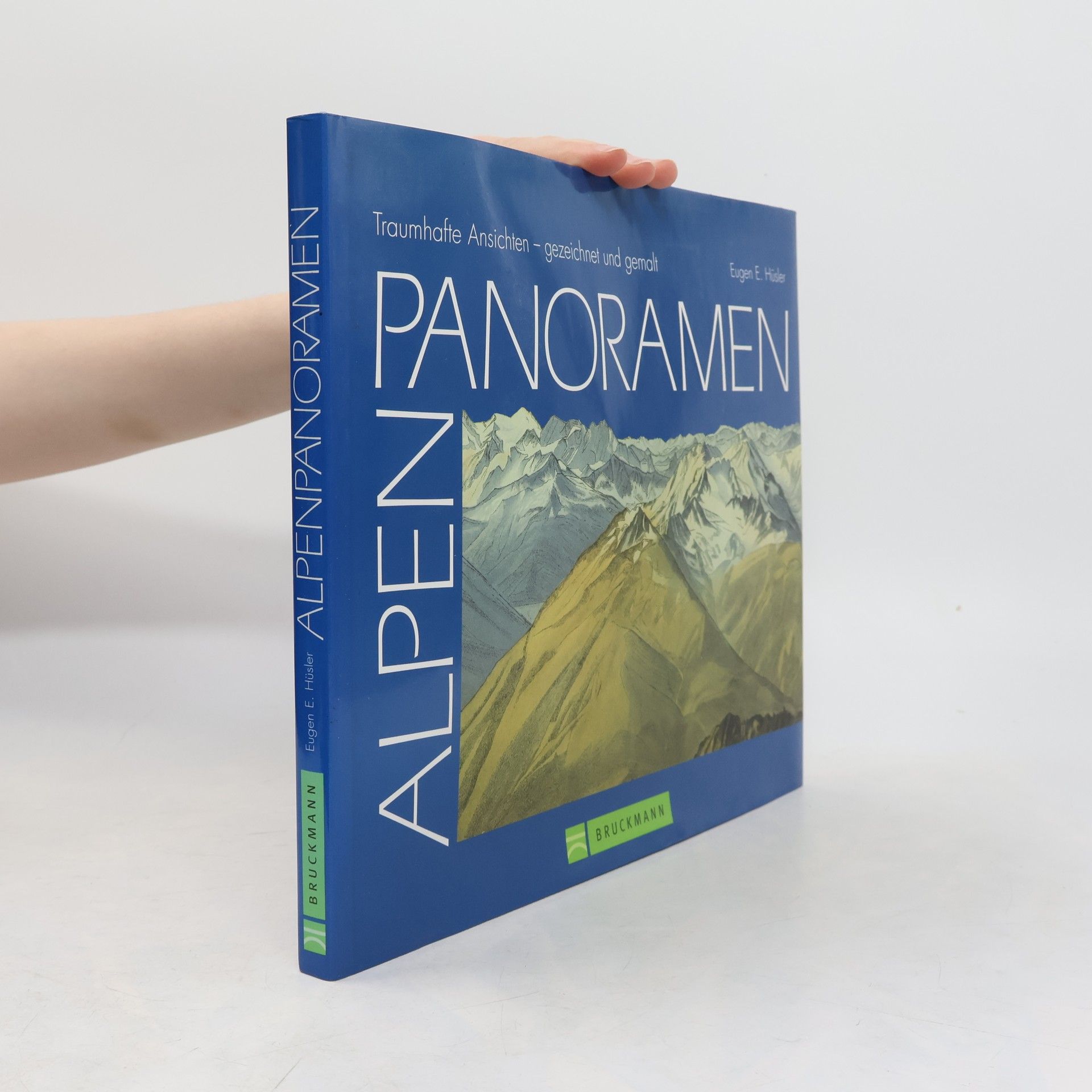 Eugen E. Hüsler Alpenpanoramen