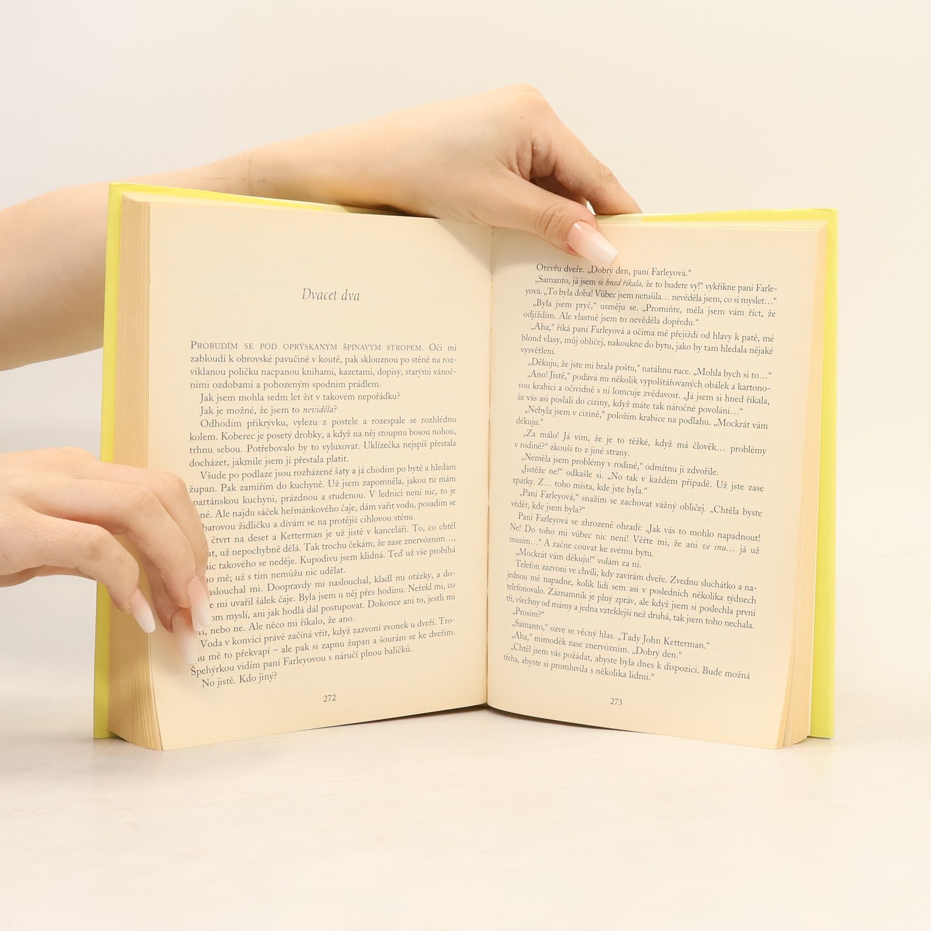 Sophie Kinsella Bohyně v domácnosti