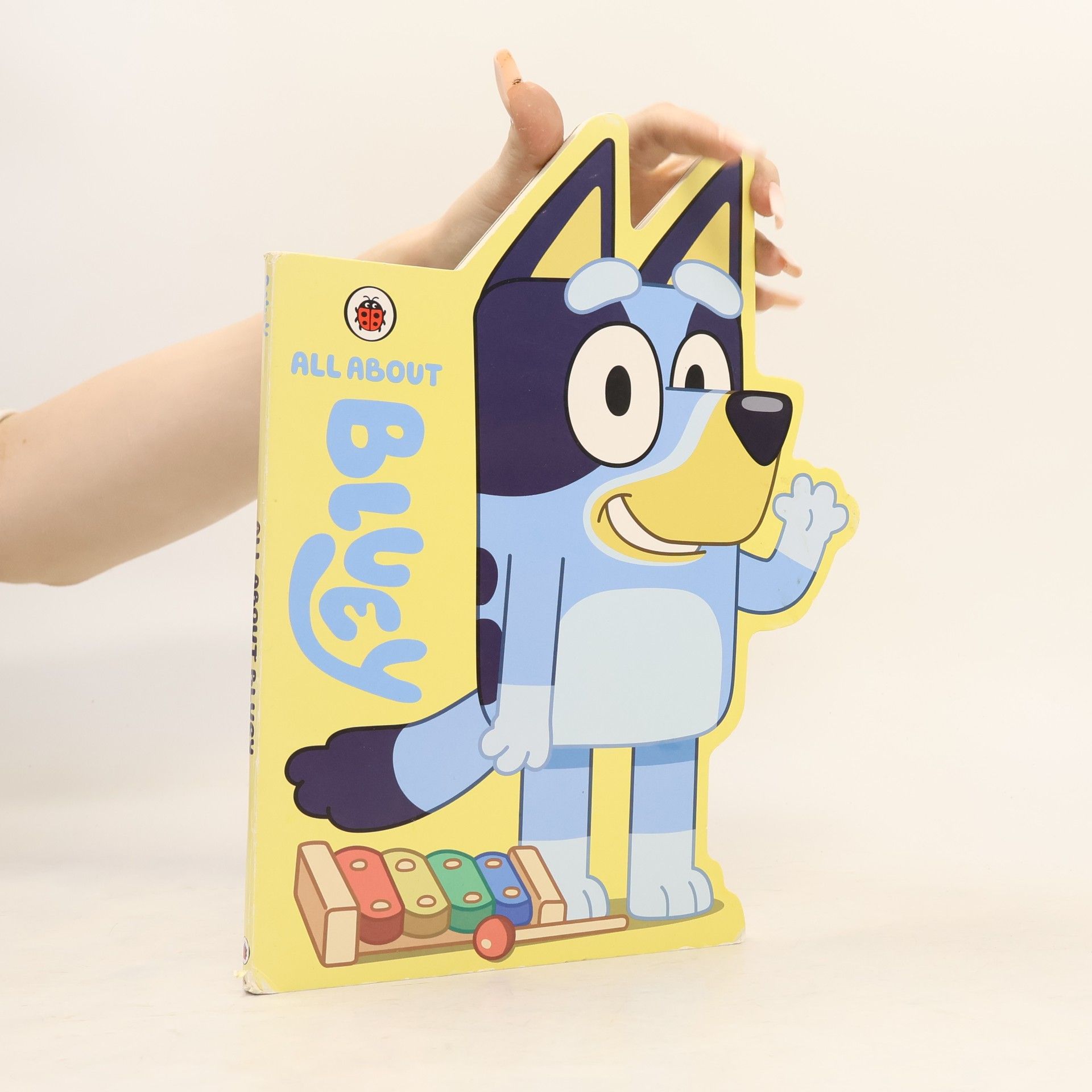 Bluey Bluey: All About Bluey