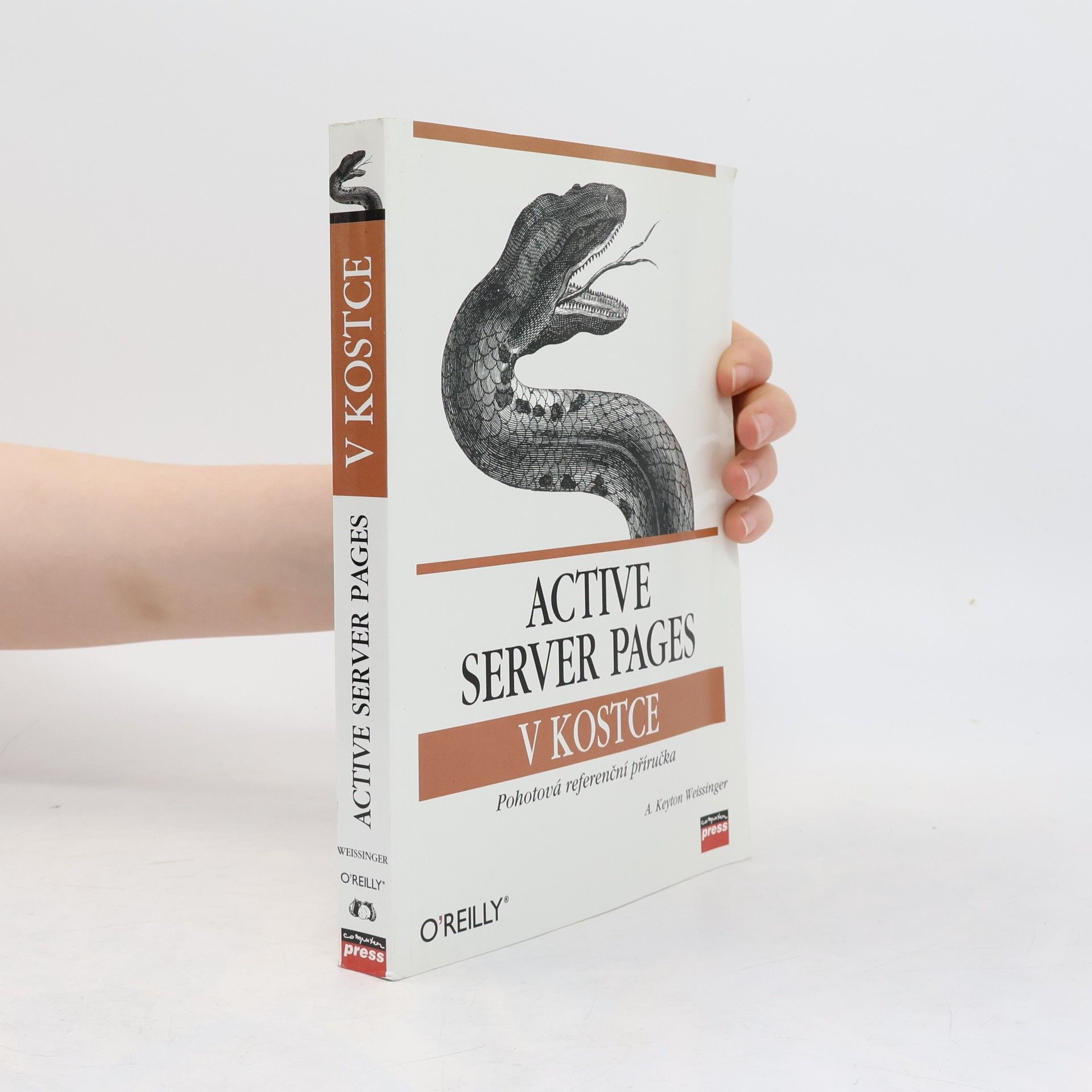 Active Server Pages v kostce
