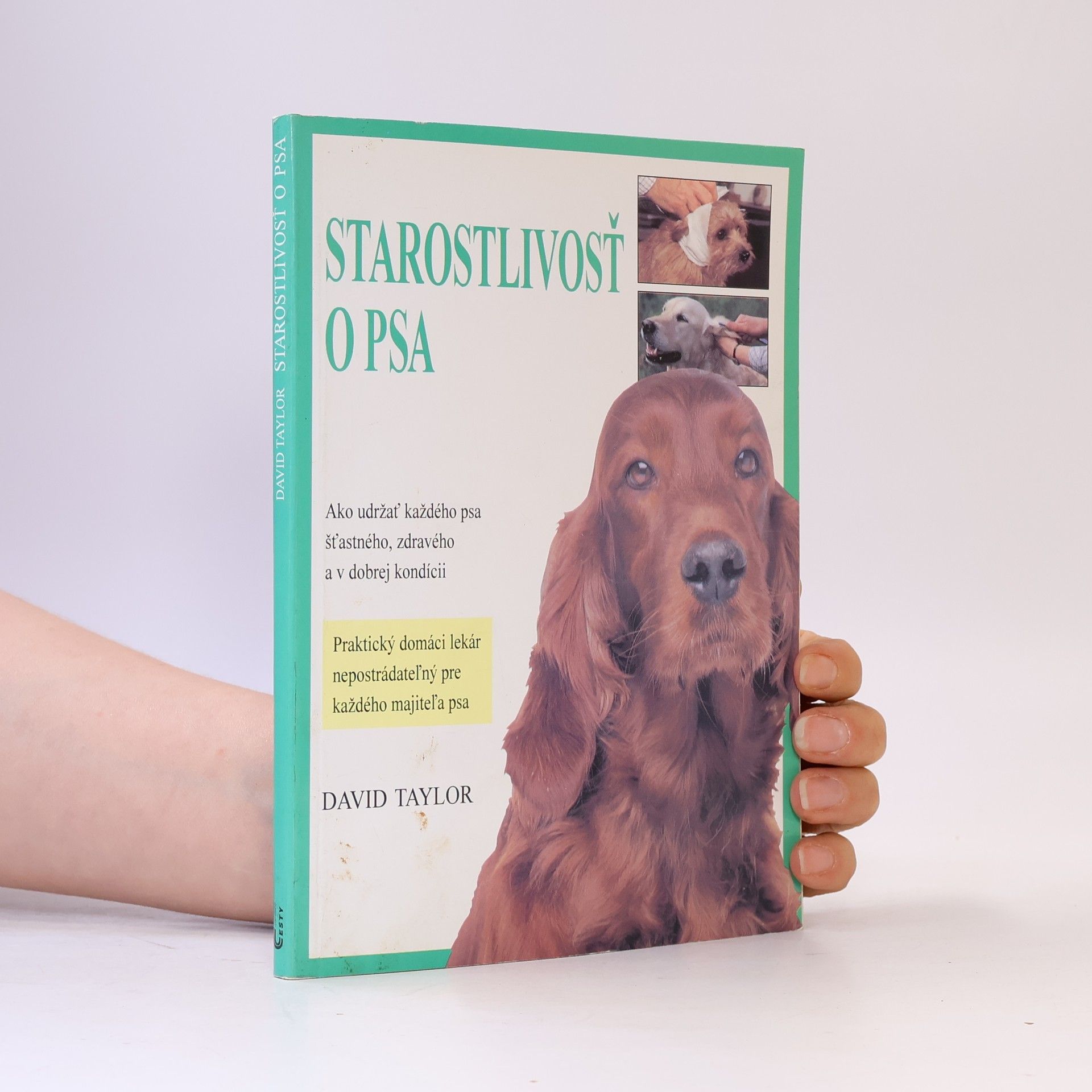 David Taylor Starostlivosť o psa