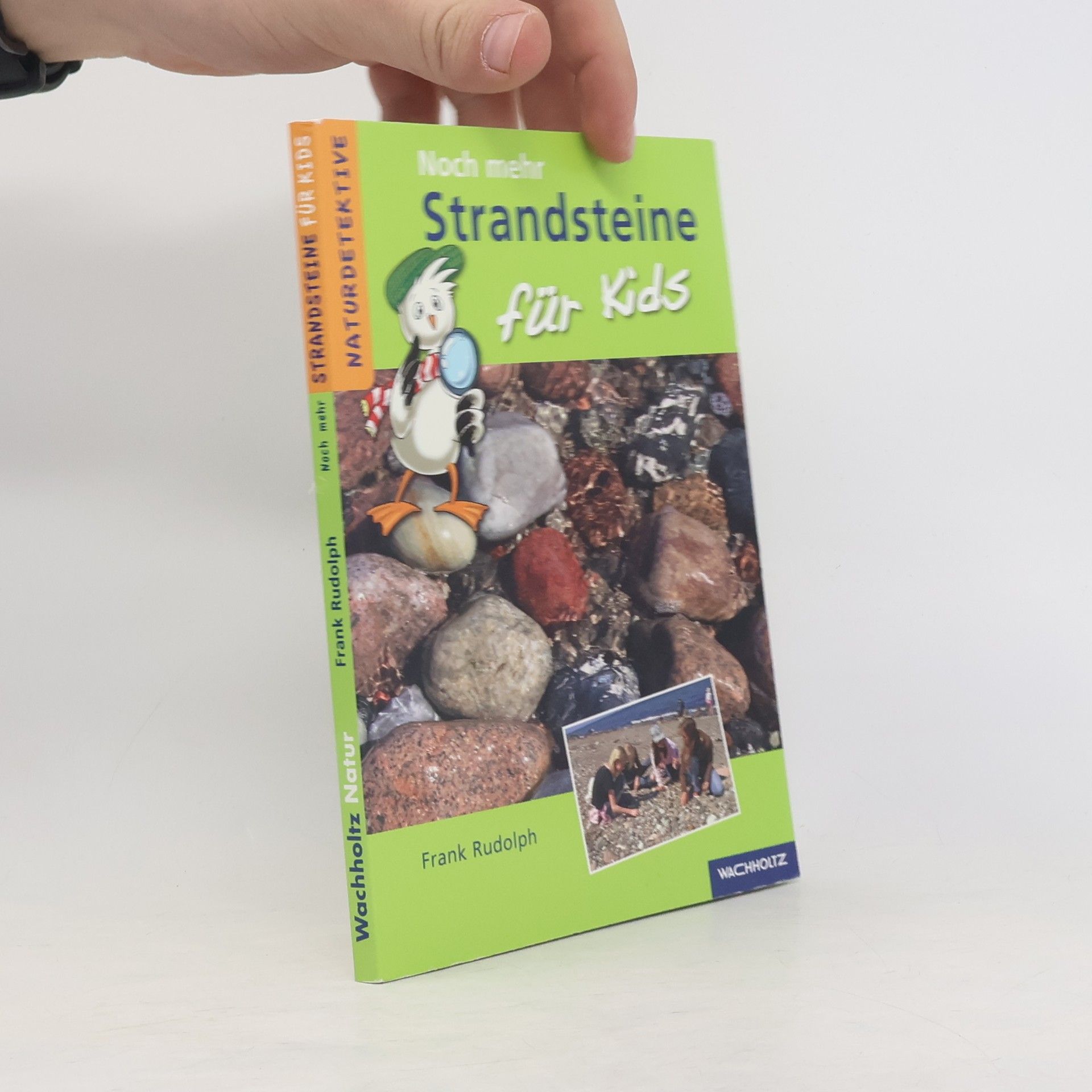 Frank Rudolph Naturdetektive: Noch mehr Strandsteine für Kids