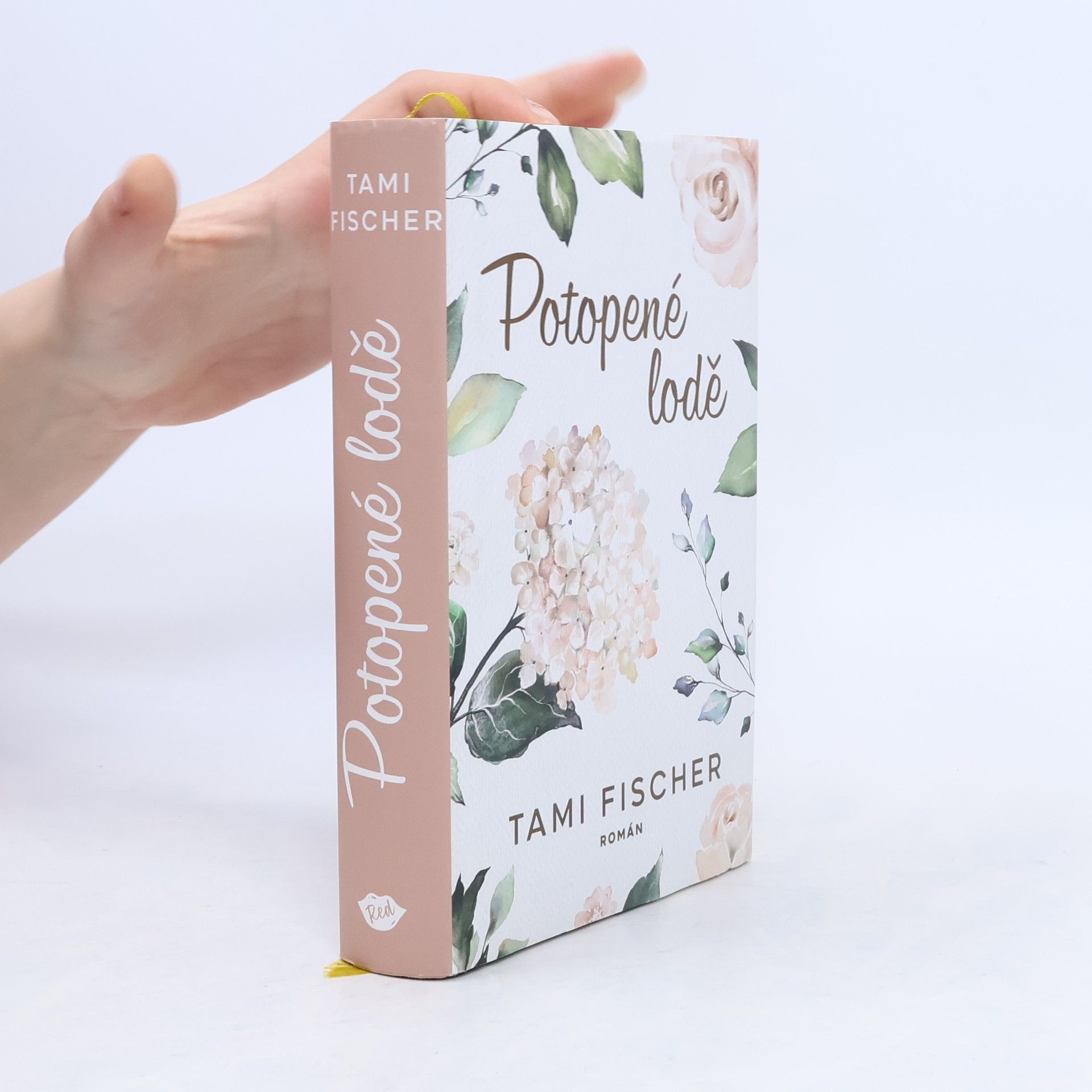Tami Fischer Potopené lodě