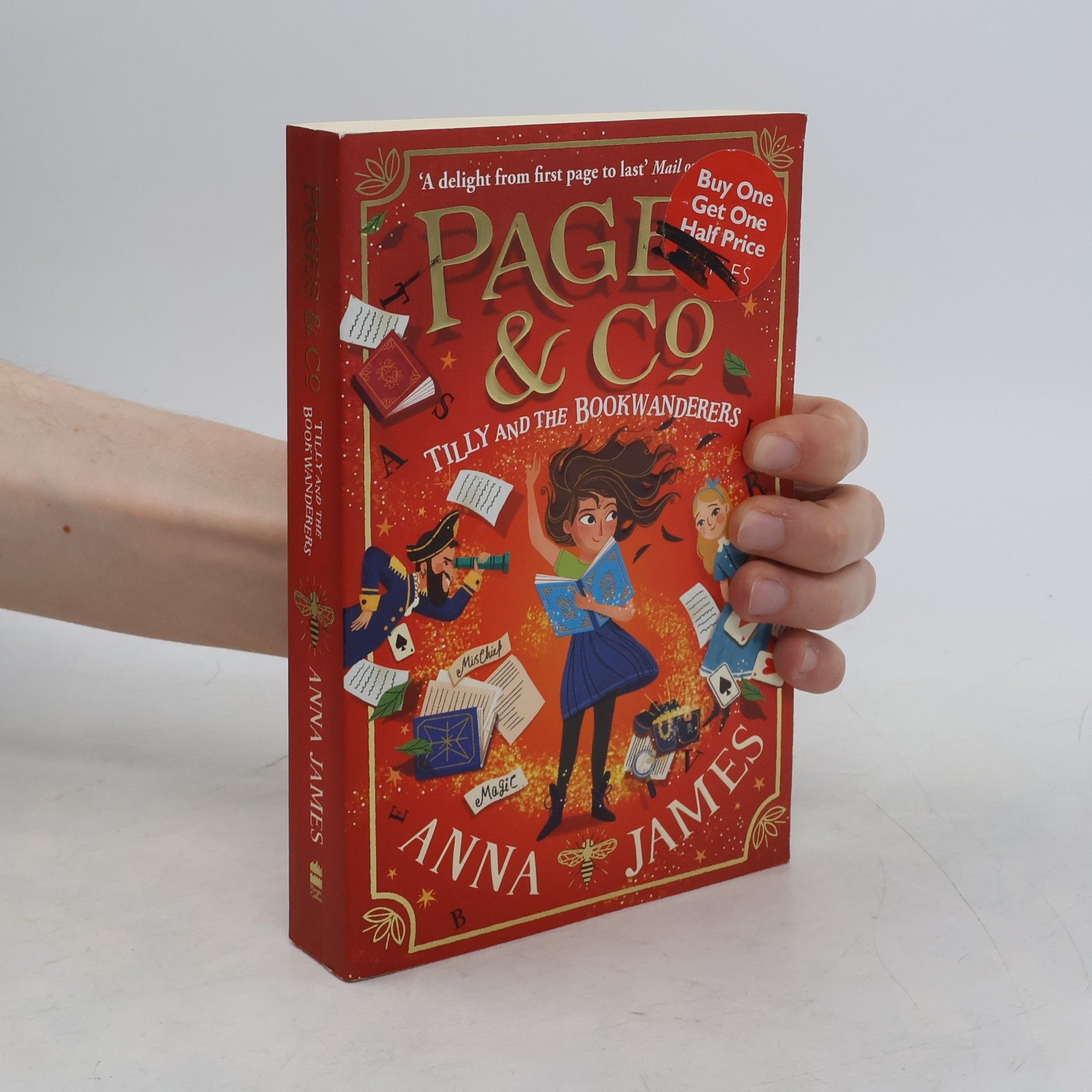 Anna James Pages & Co : Tilly and the bookwanderers