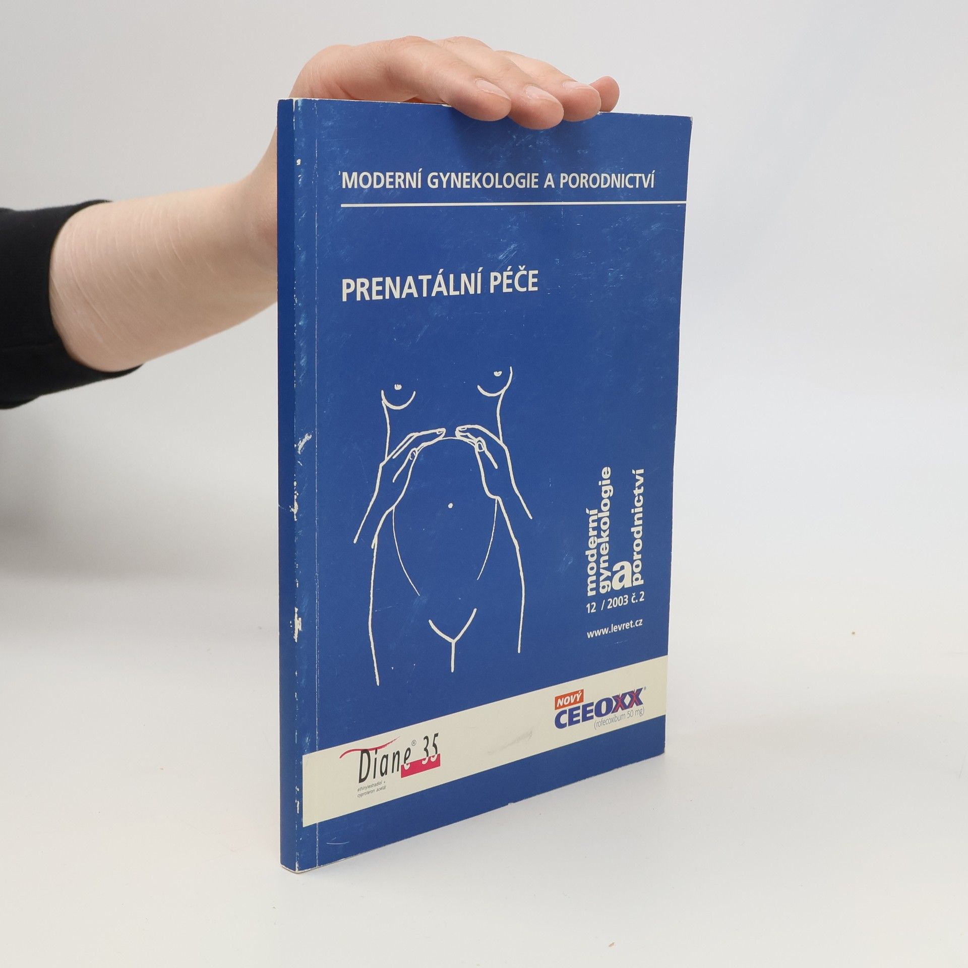 Kolektiv autorů Prenatální péče