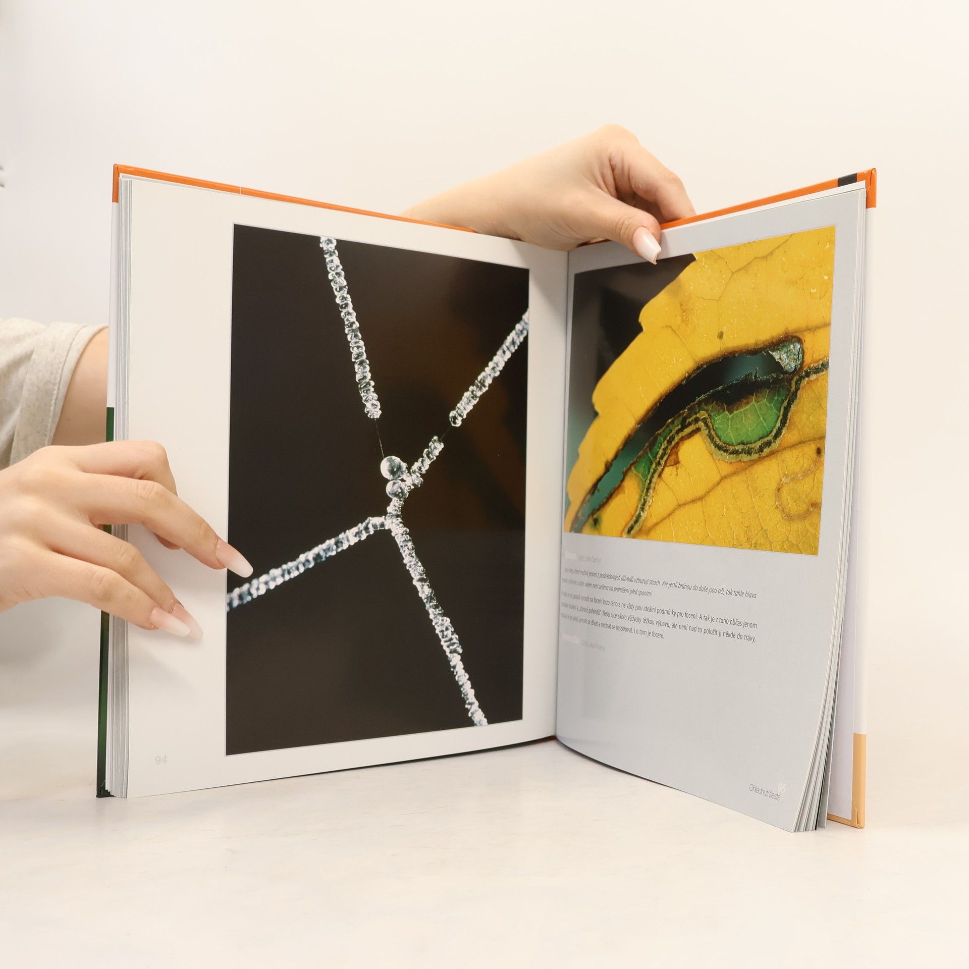 Milan Blšťák Příběhy (ne)obyčejné makrofotografie Milana Blšťáka