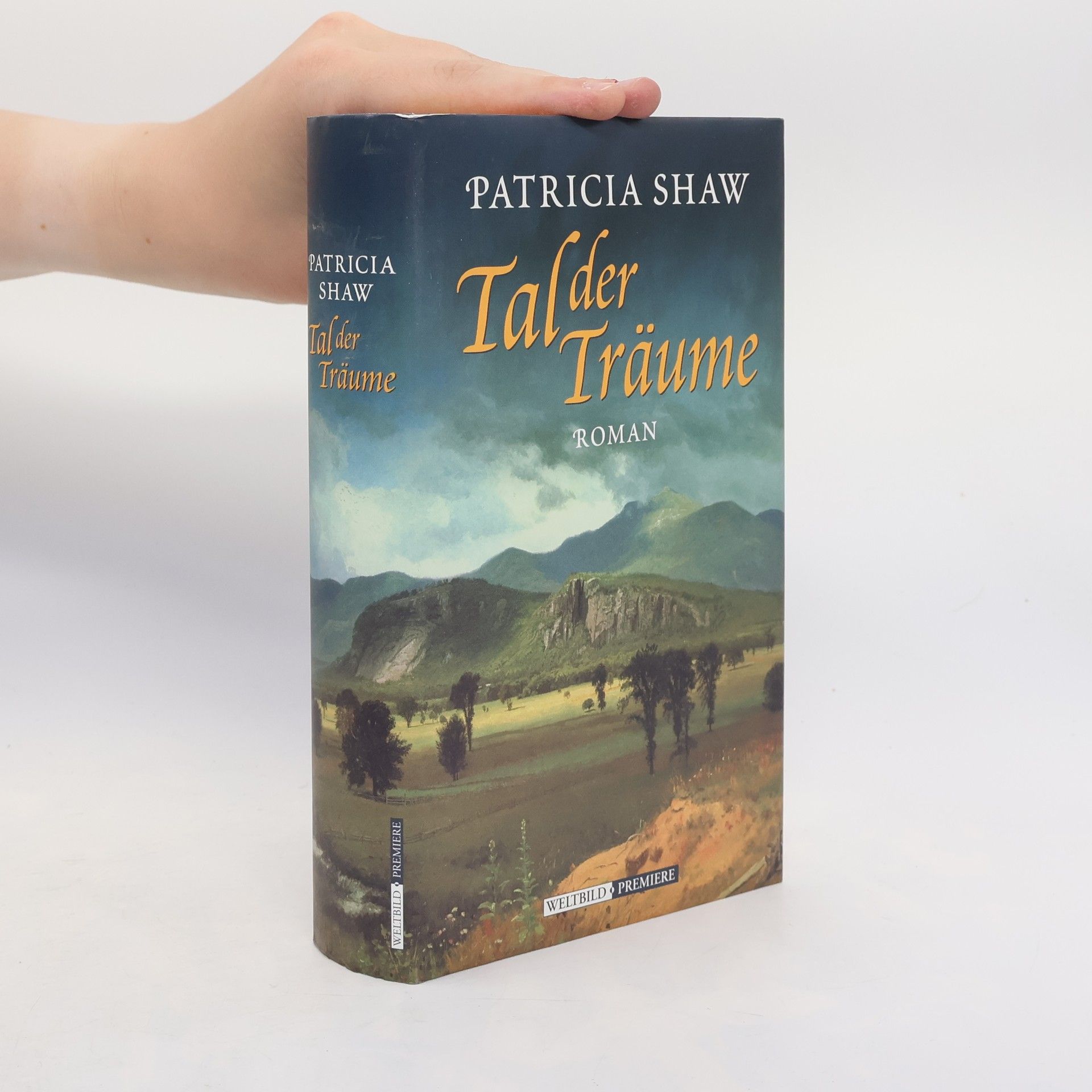 Patricia Shaw Tal der Träume