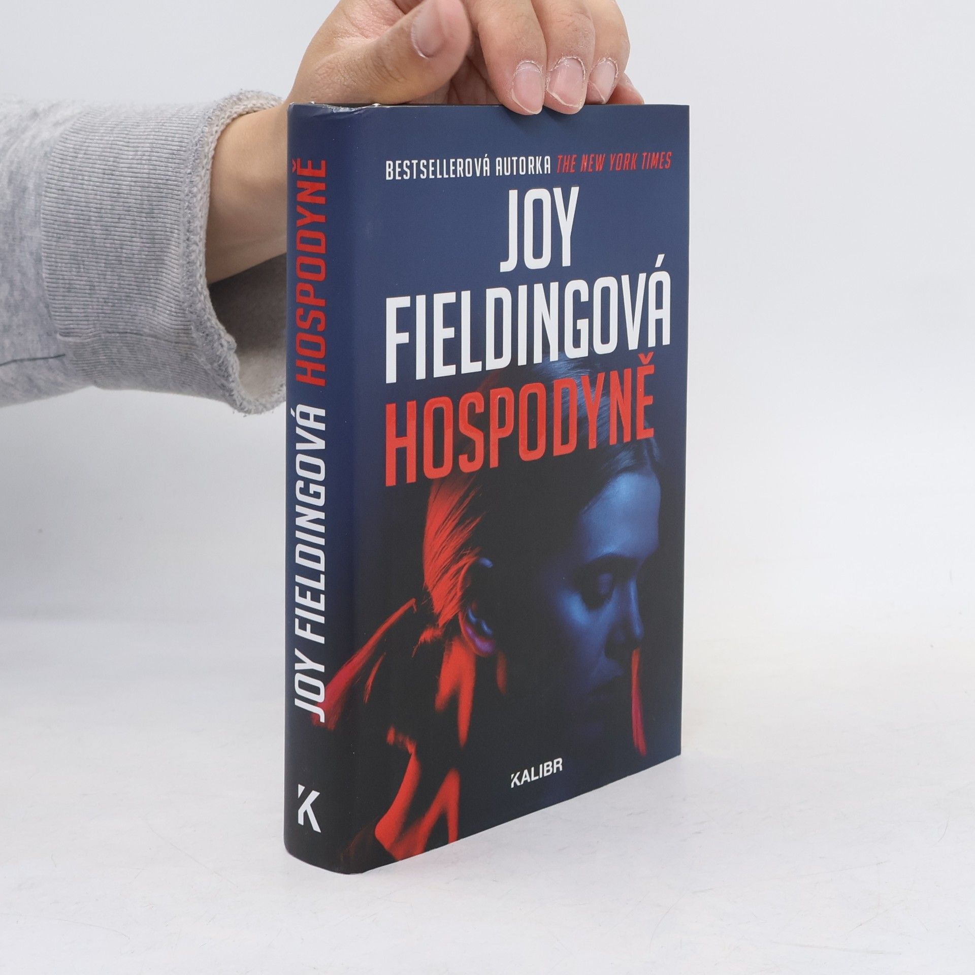 Joy Fielding Hospodyně