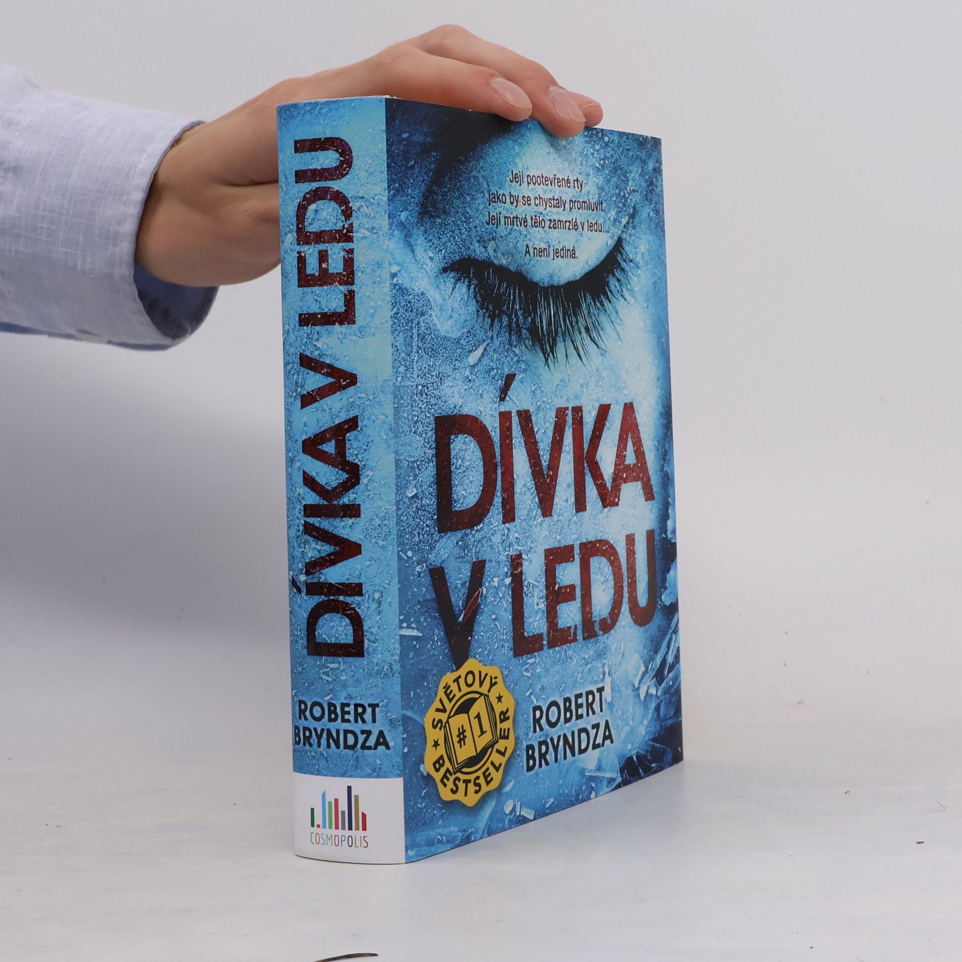 Robert Bryndza Dívka v ledu