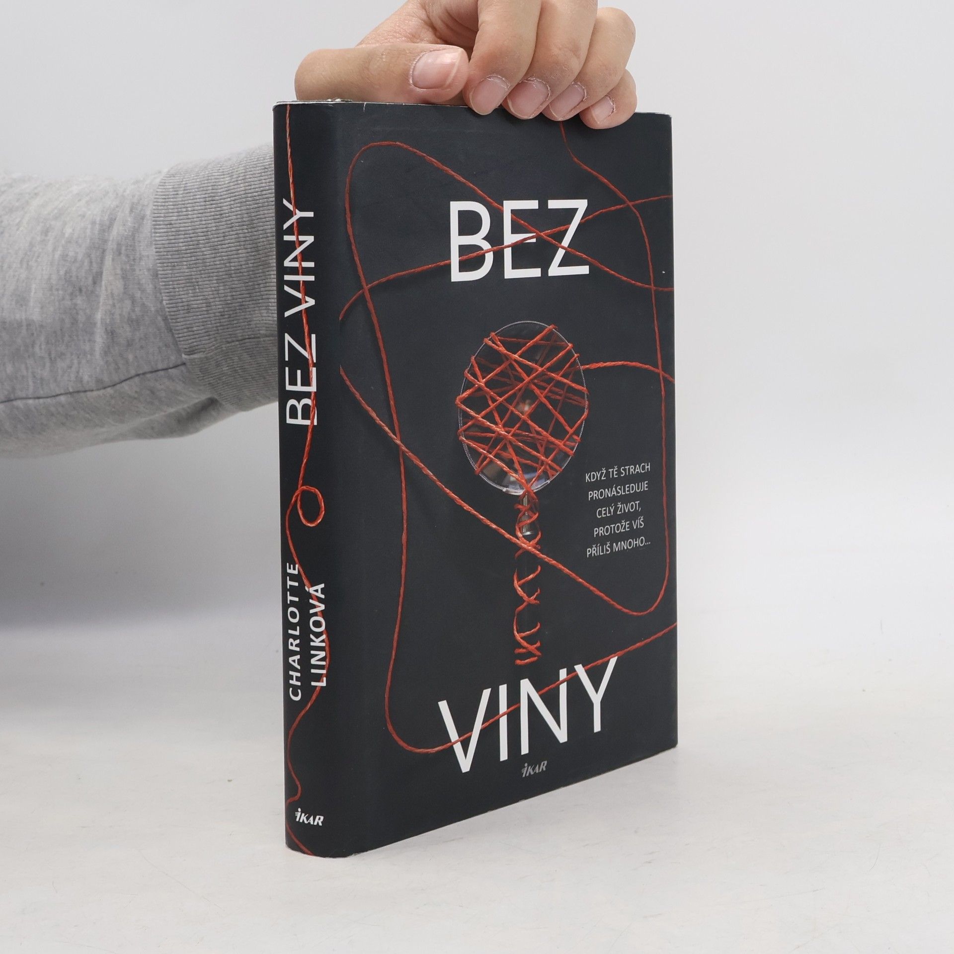Charlotte Link Bez viny