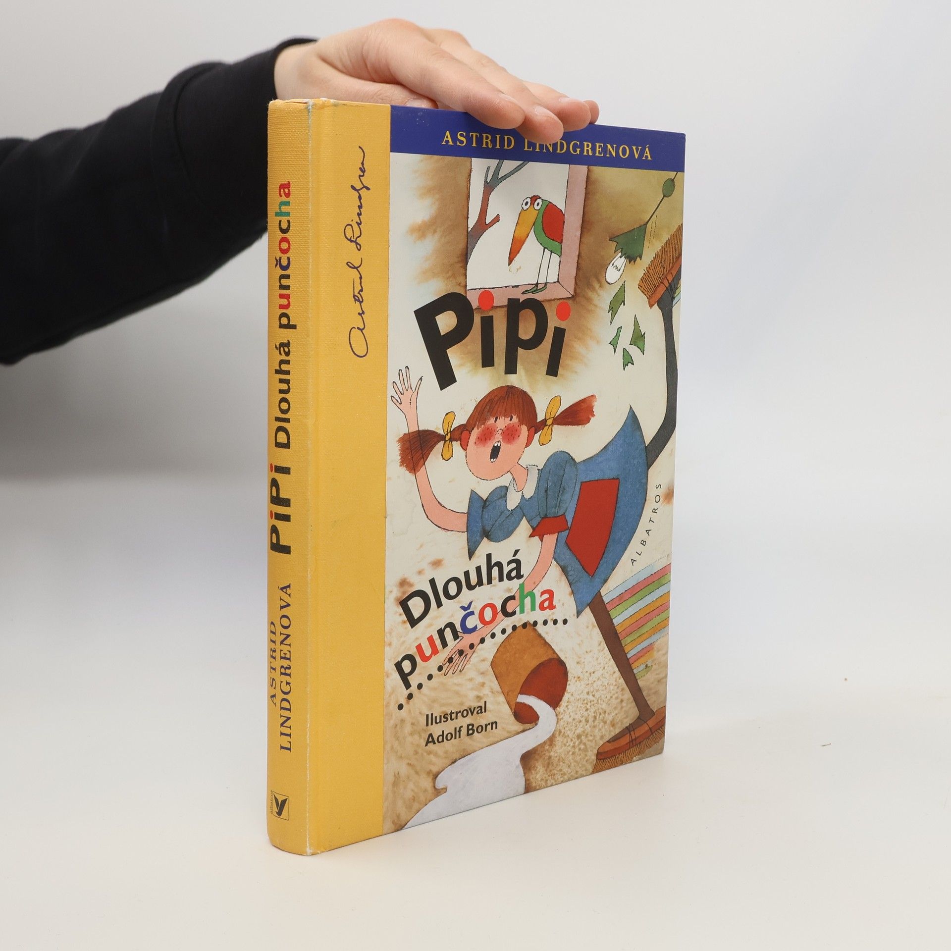 Astrid Lindgren Pipi Dlouhá punčocha