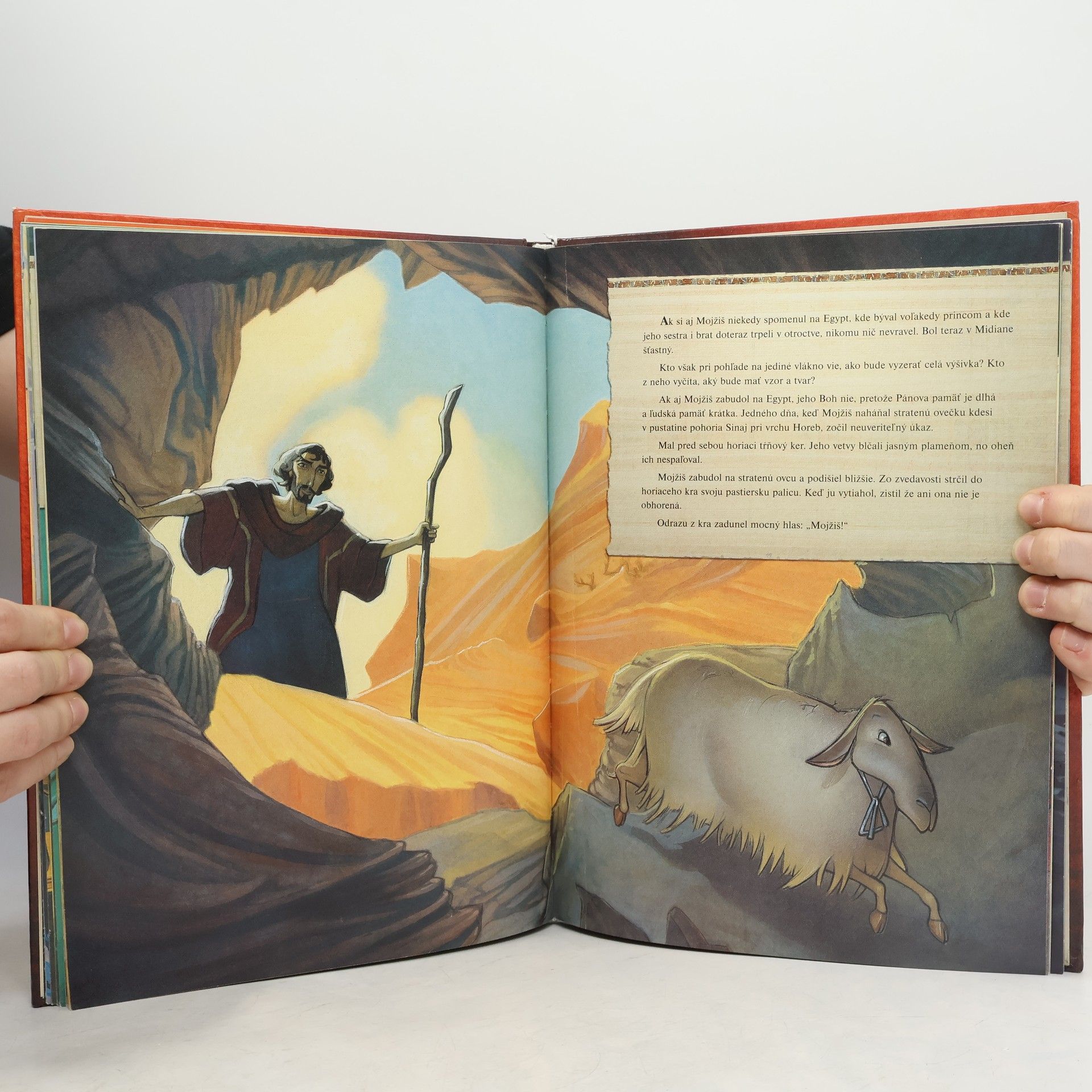 Jane Yolen Princ egyptský