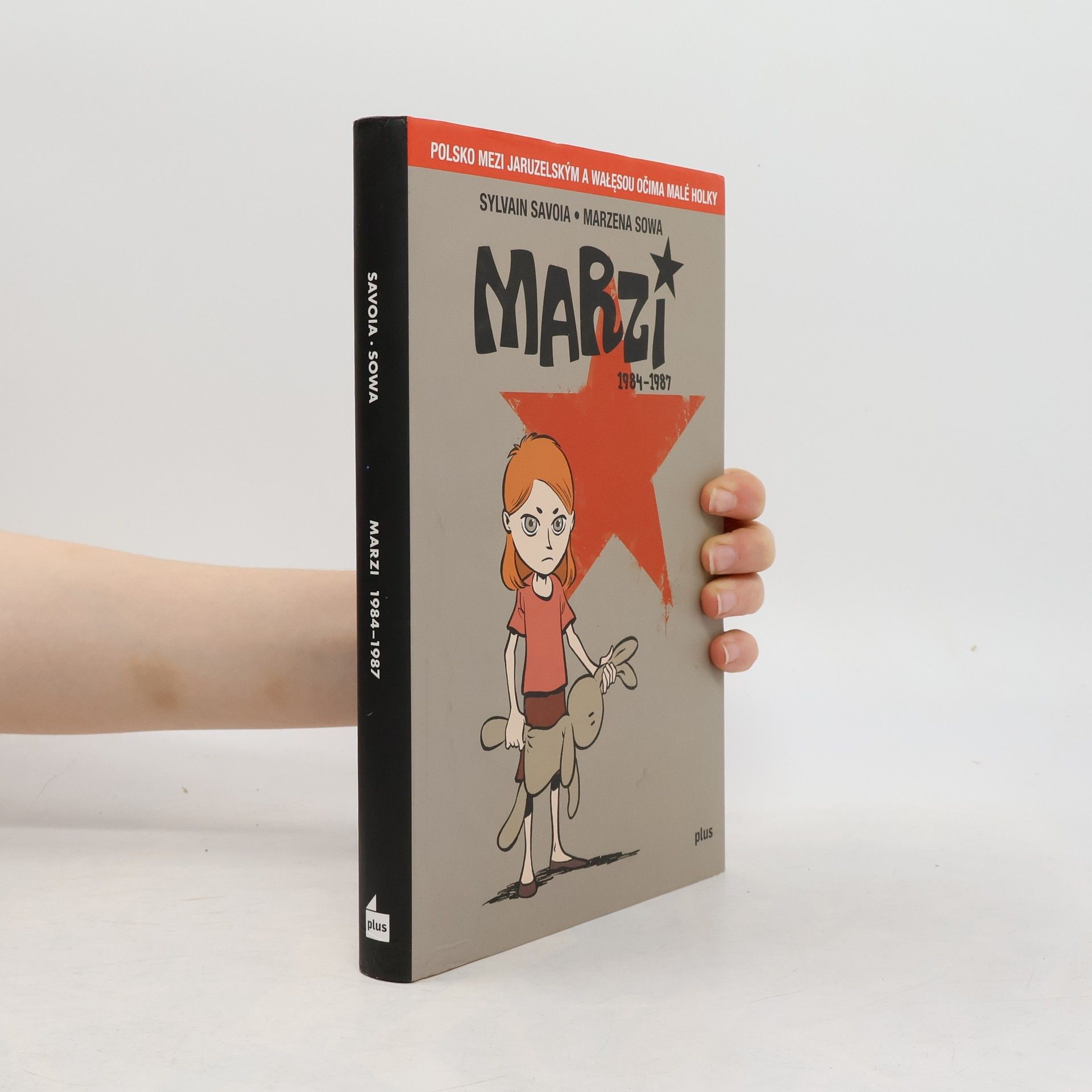 Marzena Sowa Marzi : 1984-1987